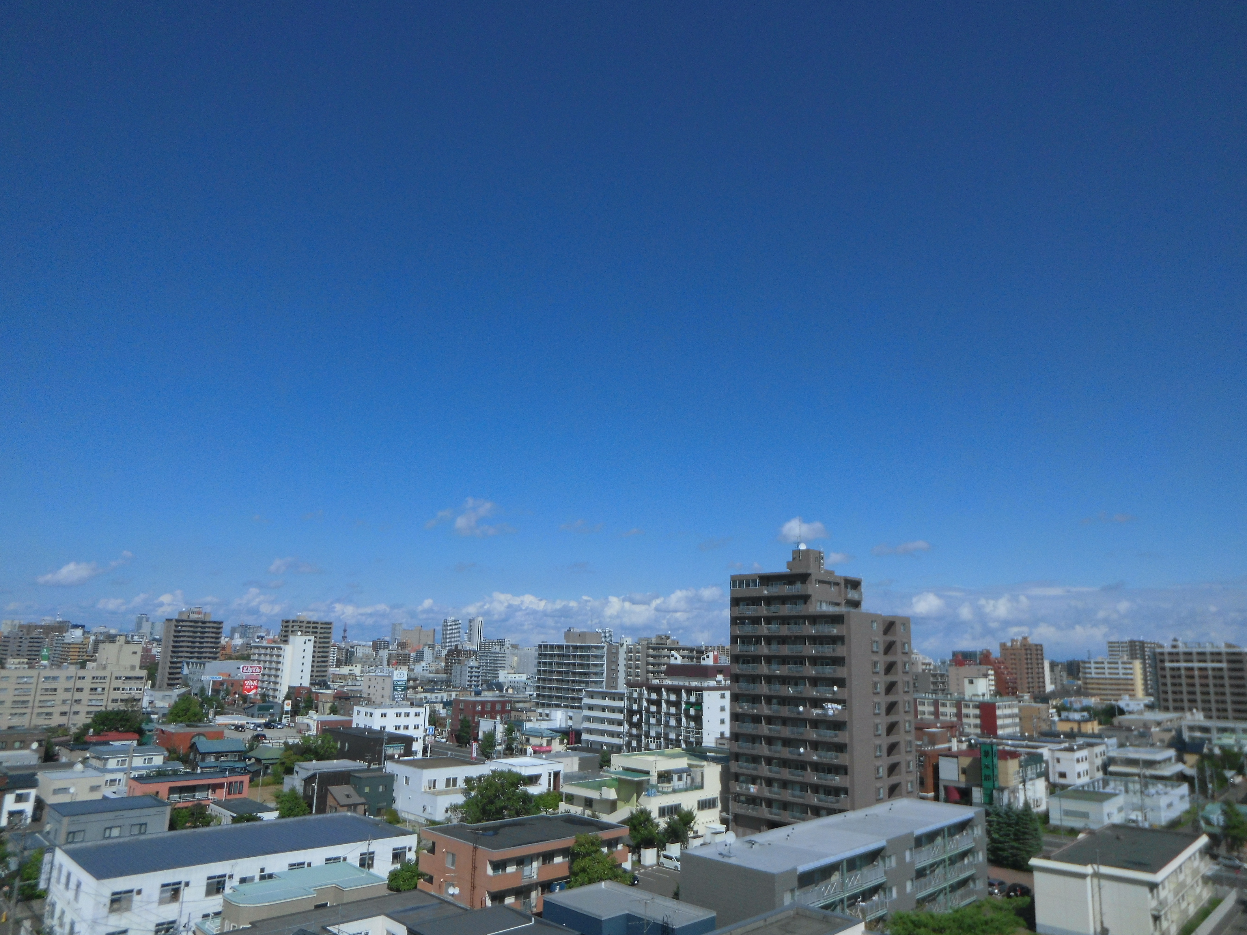 絞りは開放で固定だが、周辺光量の低下はない（デジタル補正かもしれないが）。中央部はまだしも、周辺部は画質劣化が気になる。1/4,000秒 / F2.8 / ISO100 / オート / 3.8mm