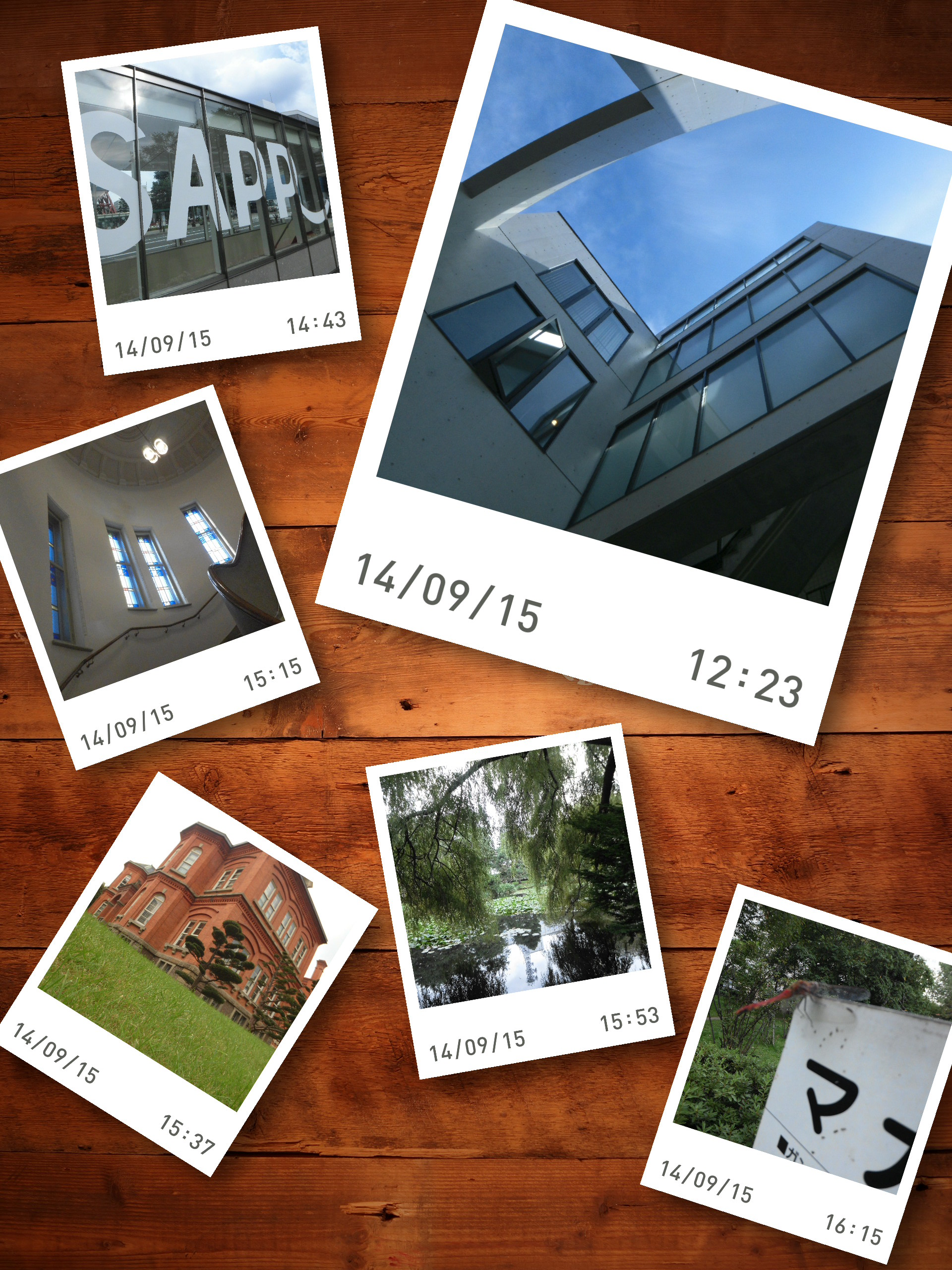 指定した日に撮った写真をまとめてくれる「ハイライトフォト」で作成した画像。BGM付き動画を作れる「ハイライトムービー」もある