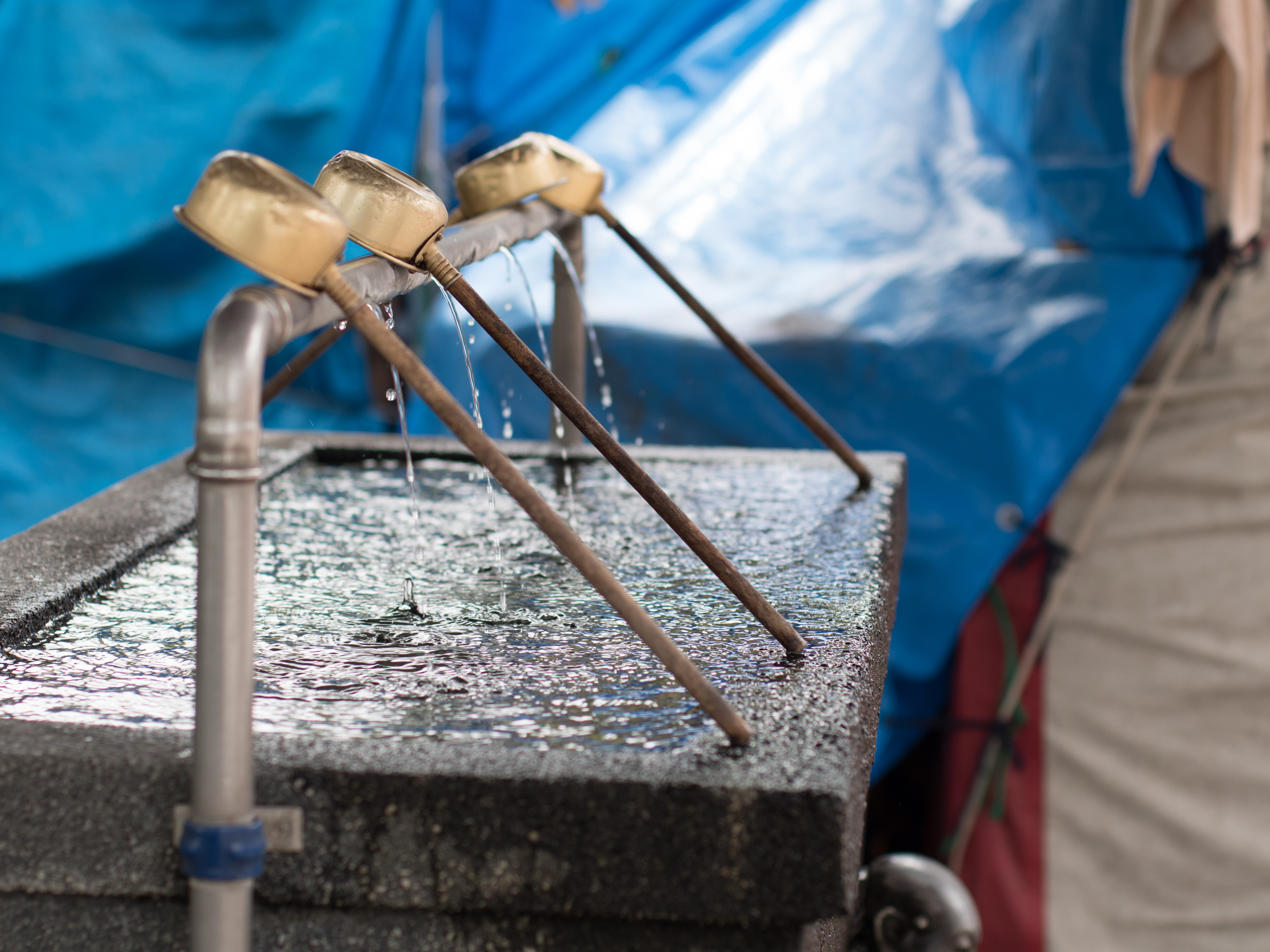 GH4 / EF 50mm F1.4 USM / 1/400秒 / F2.8 / +0.66EV / ISO200 / WB:オート