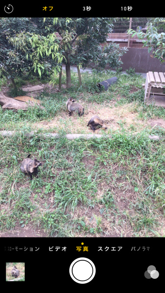 タイマー機能は、撮影画面上部の「タイマー」アイコンをタップして呼び出せる。「オフ」「3秒」「10秒」という3つから選択可能だ