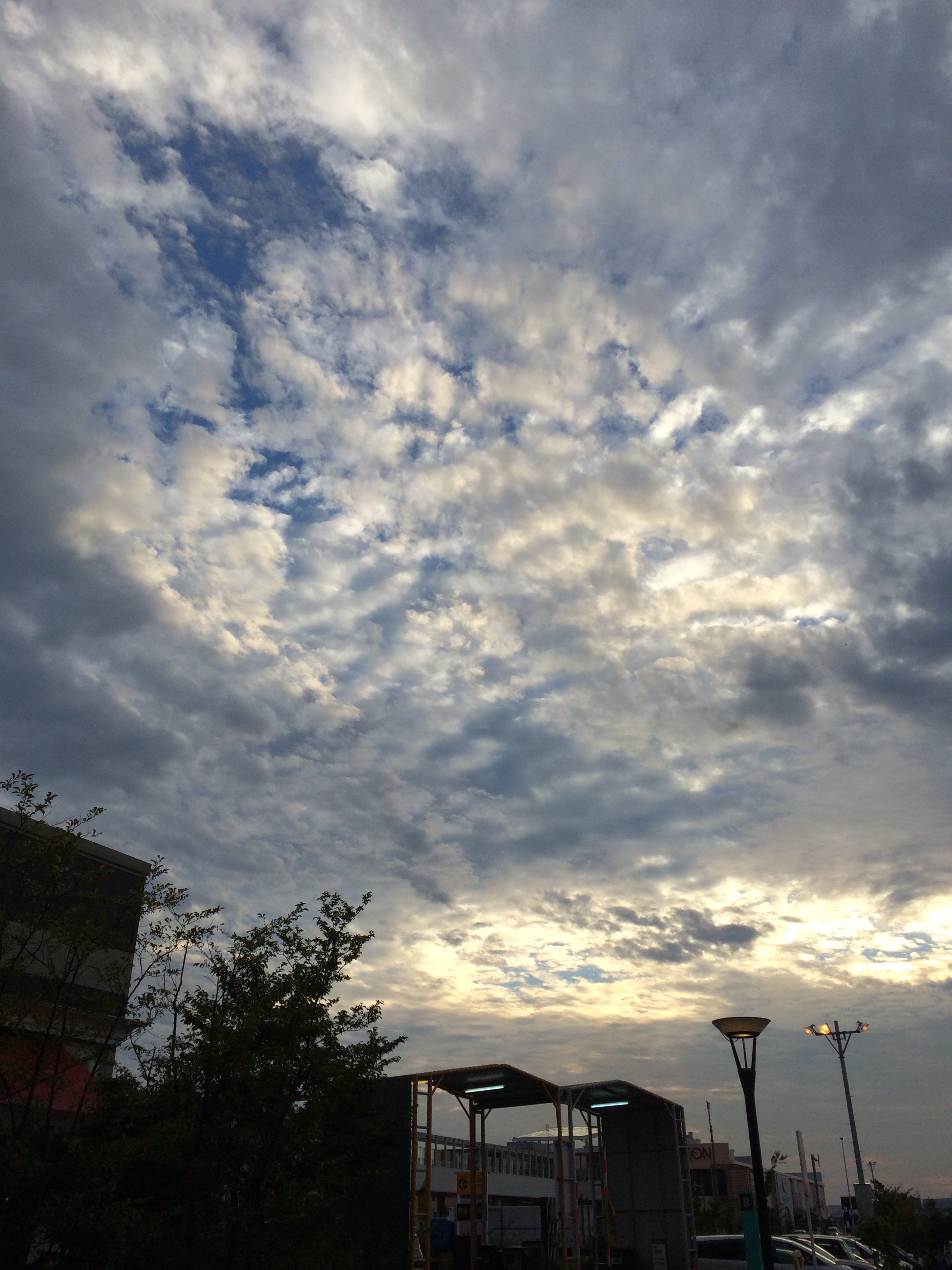 iPhone 5s / ISO32 / 1/1580秒