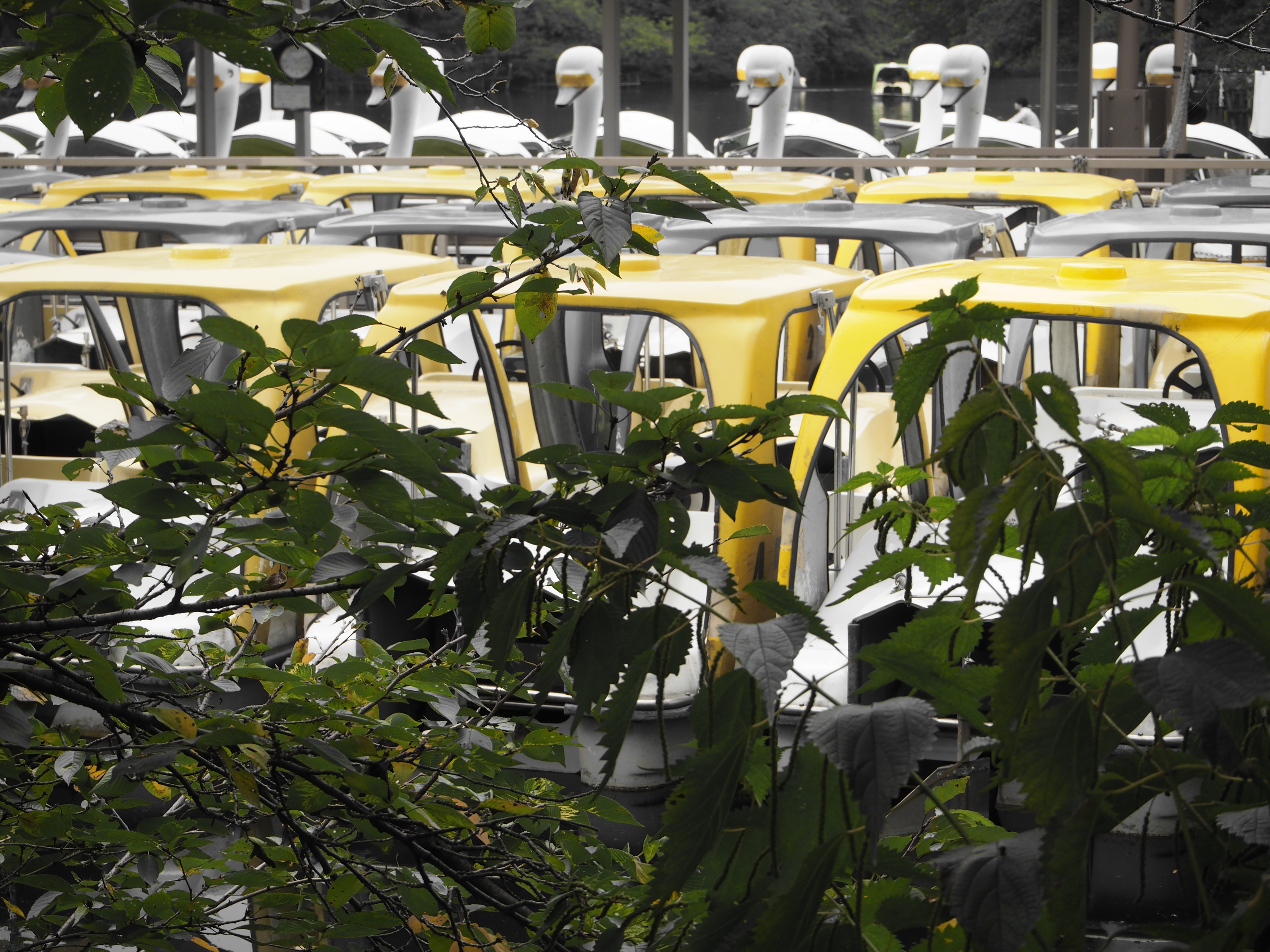 アートフィルター：パートカラー（タイプI）。黄色系の色味を選択しました。自然なグラデーションなので、スナップに使用してもやり過ぎなイメージにならないのがいいですね。E-PL7／M.ZUIKO DIGITAL ED 14-42mm F3.5-5.6 EZ／ISO200／F6.3／1/125／0EV／WB:オート／42mm