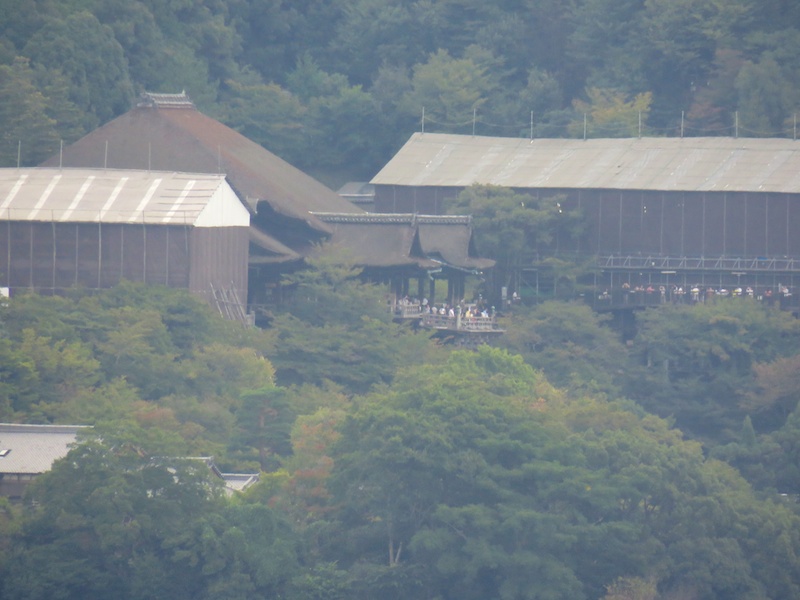 ここは……どこでしょう