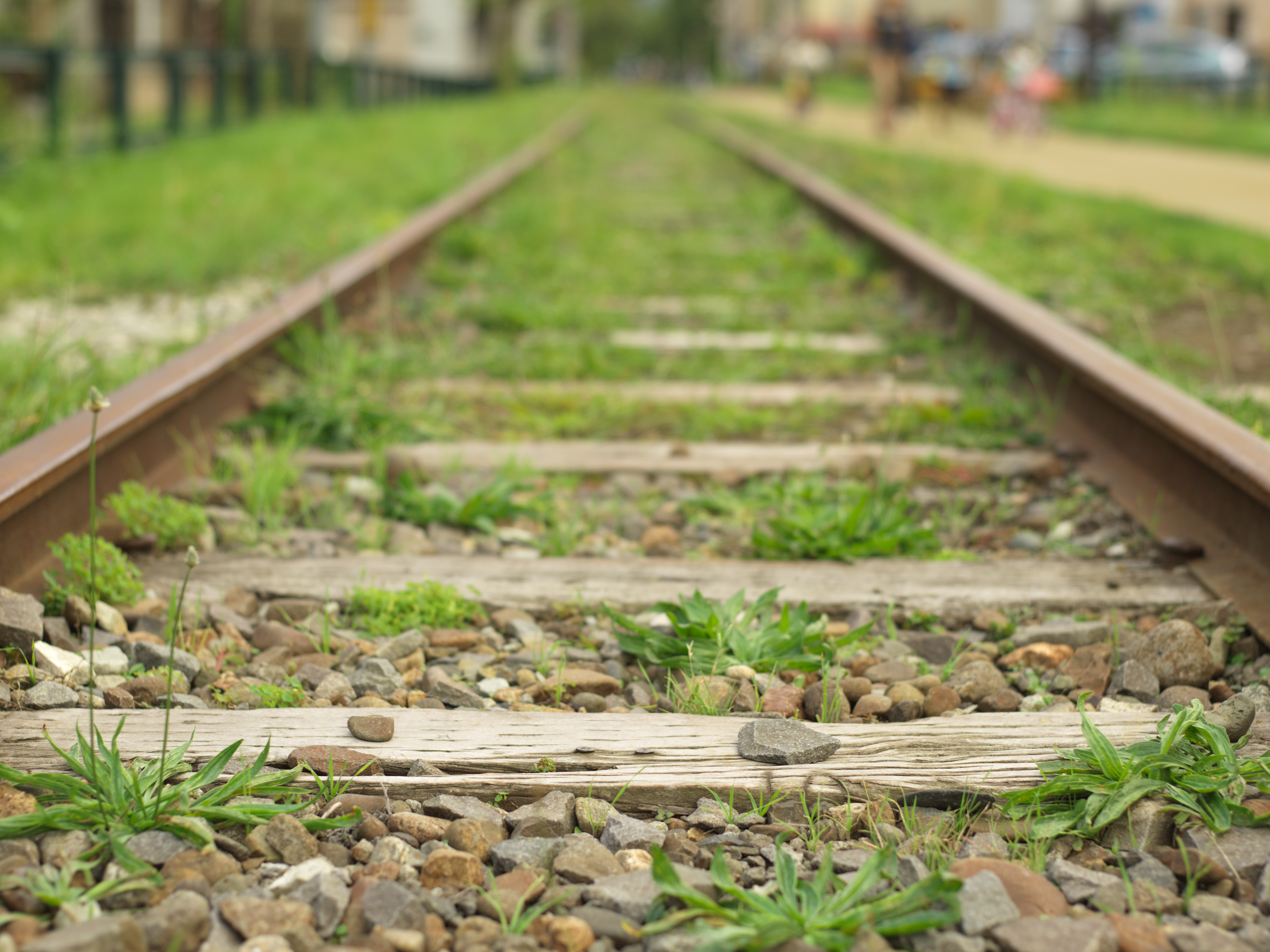 廃線を見つけたので撮影。絞り開放で撮影し、中判ならではの立体感あるボケを堪能できた。Hasselblad C 80mm T* / 1/125秒 / F2.8 / ISO400