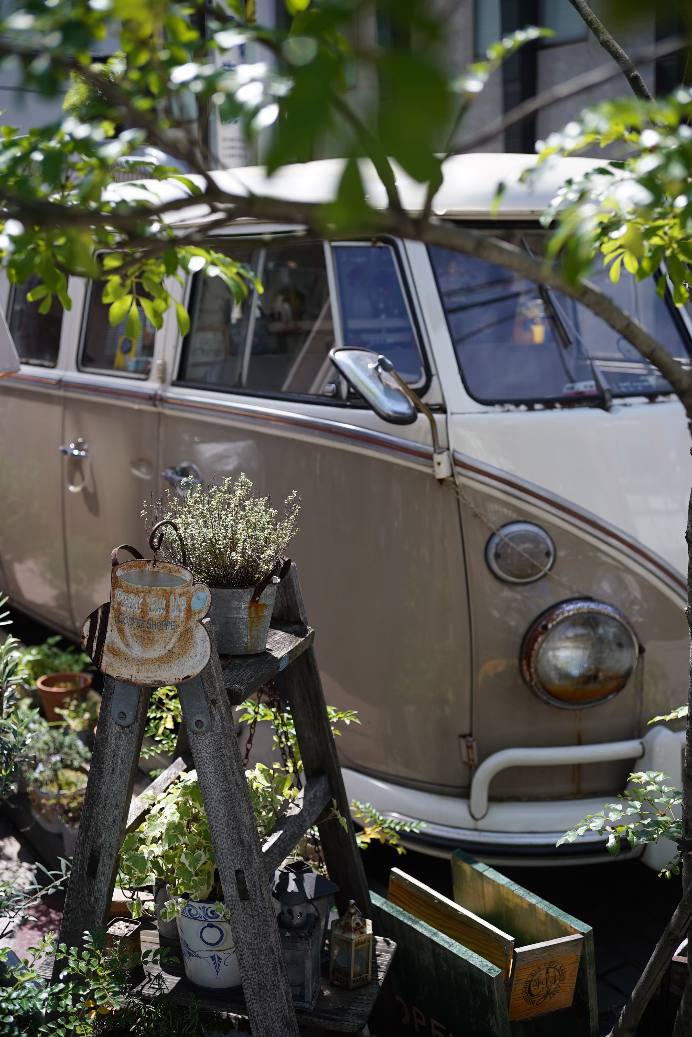 α7S / Heliar 40mm F2.8 / 1/400秒 / F4 / 0EV / ISO100 / WB:オート