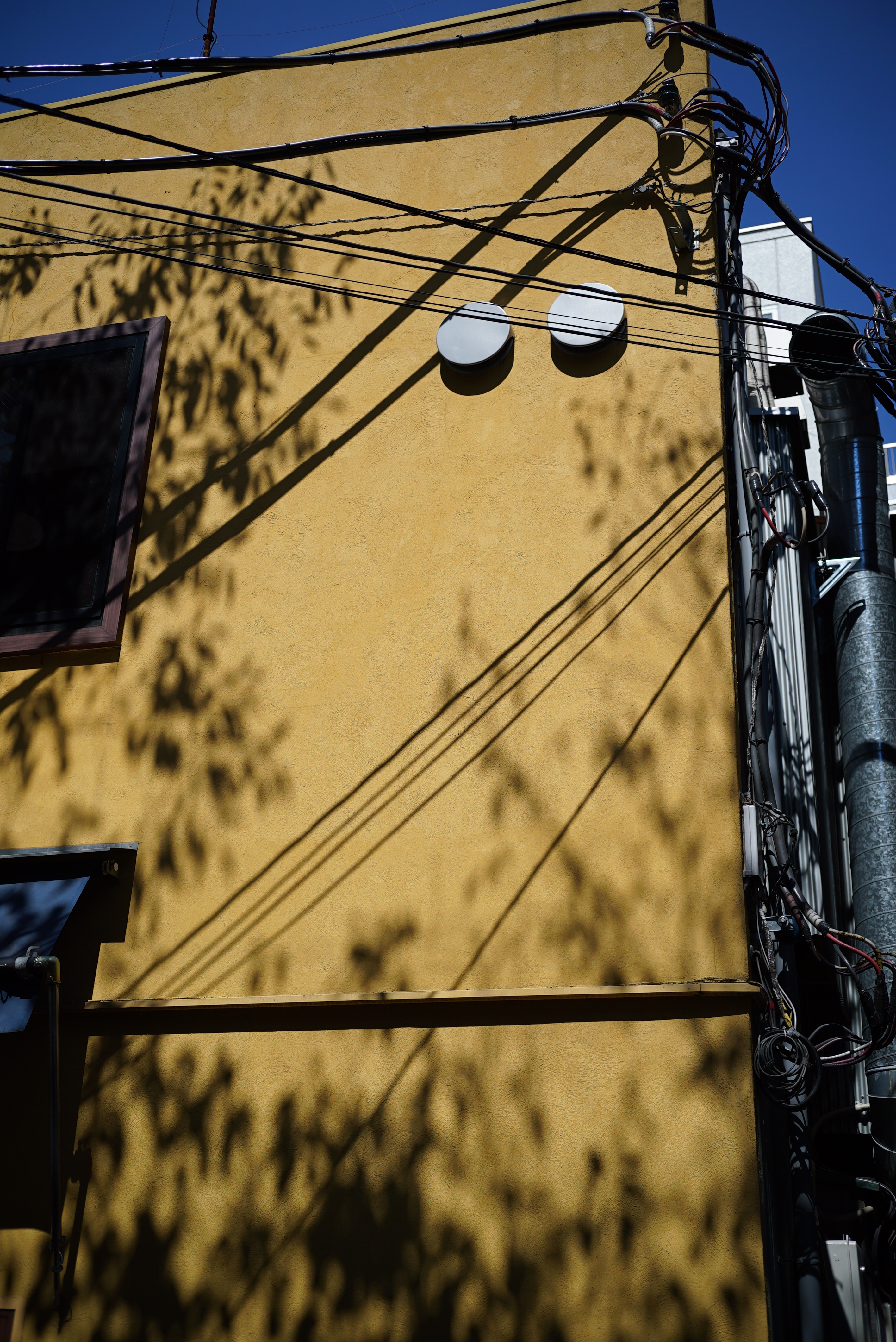 F4で壁を狙う。隅々までシャープな描き方だが、硬くなりすぎない自然な写りだ。α7S / 1/2,000秒 / F4 / +0.7EV / ISO100 / 40mm