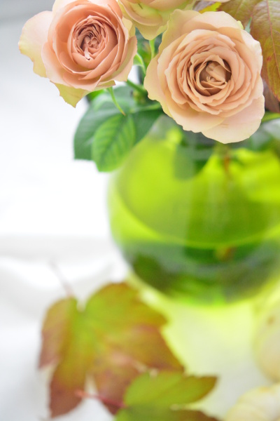 angeさんの作品です。「フォトジェニックな被写体でときめいてしまいました。今道先生のセンスとても素敵です」