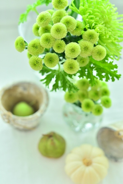 Nikitaさんの作品です。「基本事項を改めて確認ができてよかったです。また普段ではなかなか撮影の出来ないものばかりだったのでセレブな気分になれて楽しかったです」