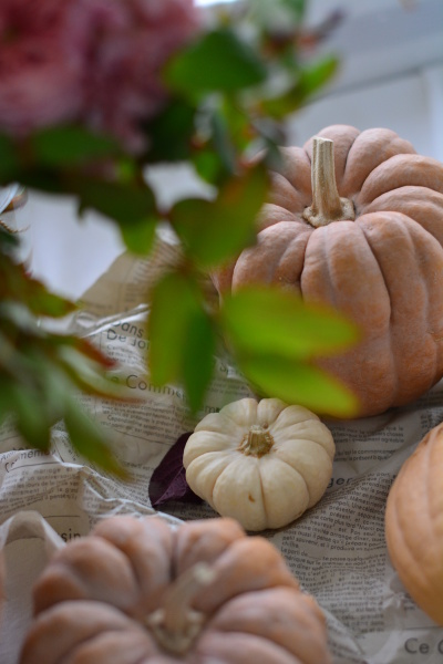 makuraさんの作品です。「素敵なスタイリングも勉強になりましたし、構図の決め方、撮り方も目から鱗なことが多かったです。実習では、思い通りの写真がなかなか撮れてなかったので、教わったポイントを踏まえていろんな被写体に挑戦していきたいです」