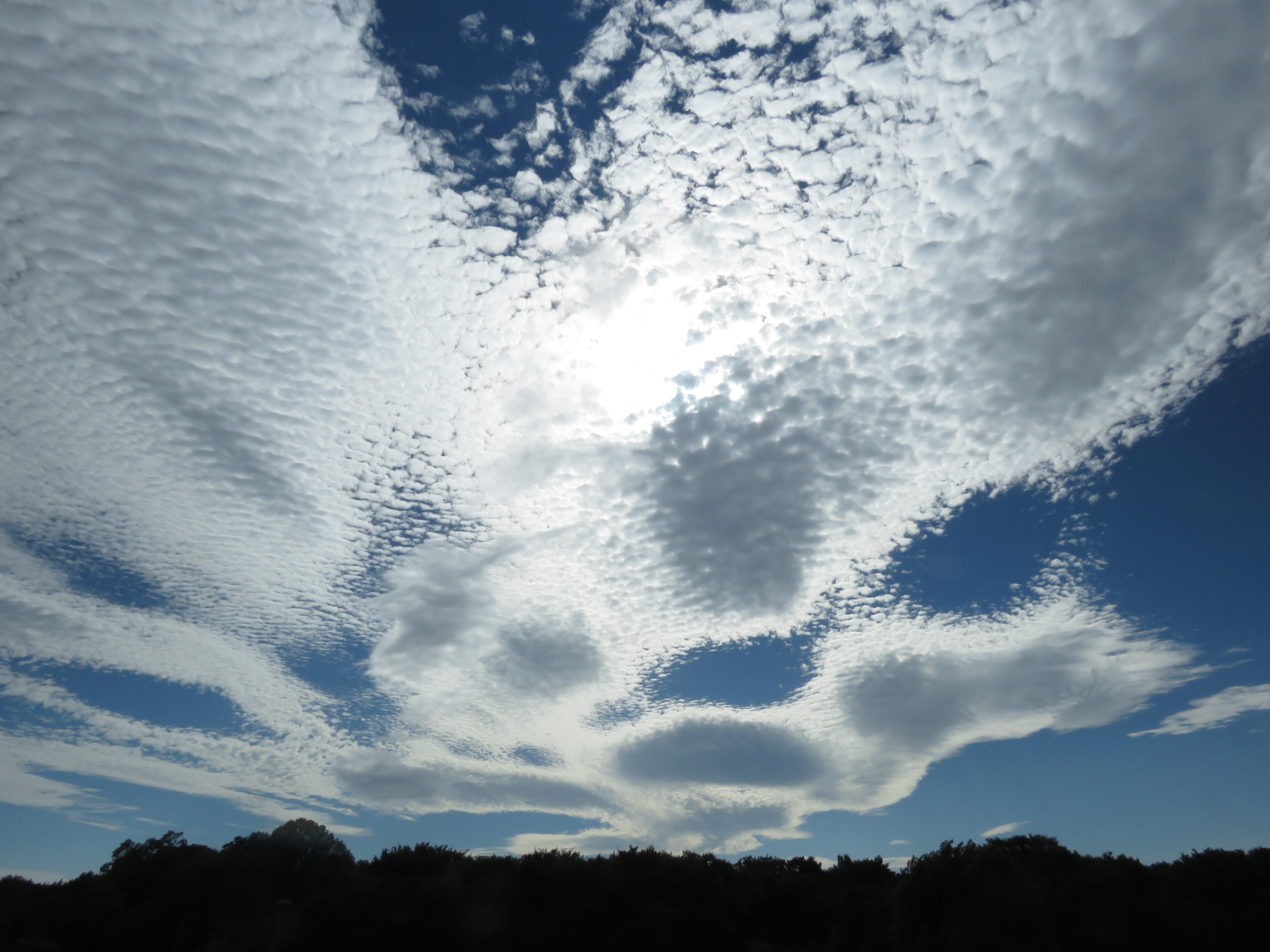 圧倒的なズーム倍率が楽しくて、つい望遠側での撮影が多くなってしまうが、21mm相当の広角端で広がりのある写真が撮れることも本機の魅力。秋らしい雲の動きをとらえた。ISO100 / F5.6 / 1/2,000秒 / 3.8mm