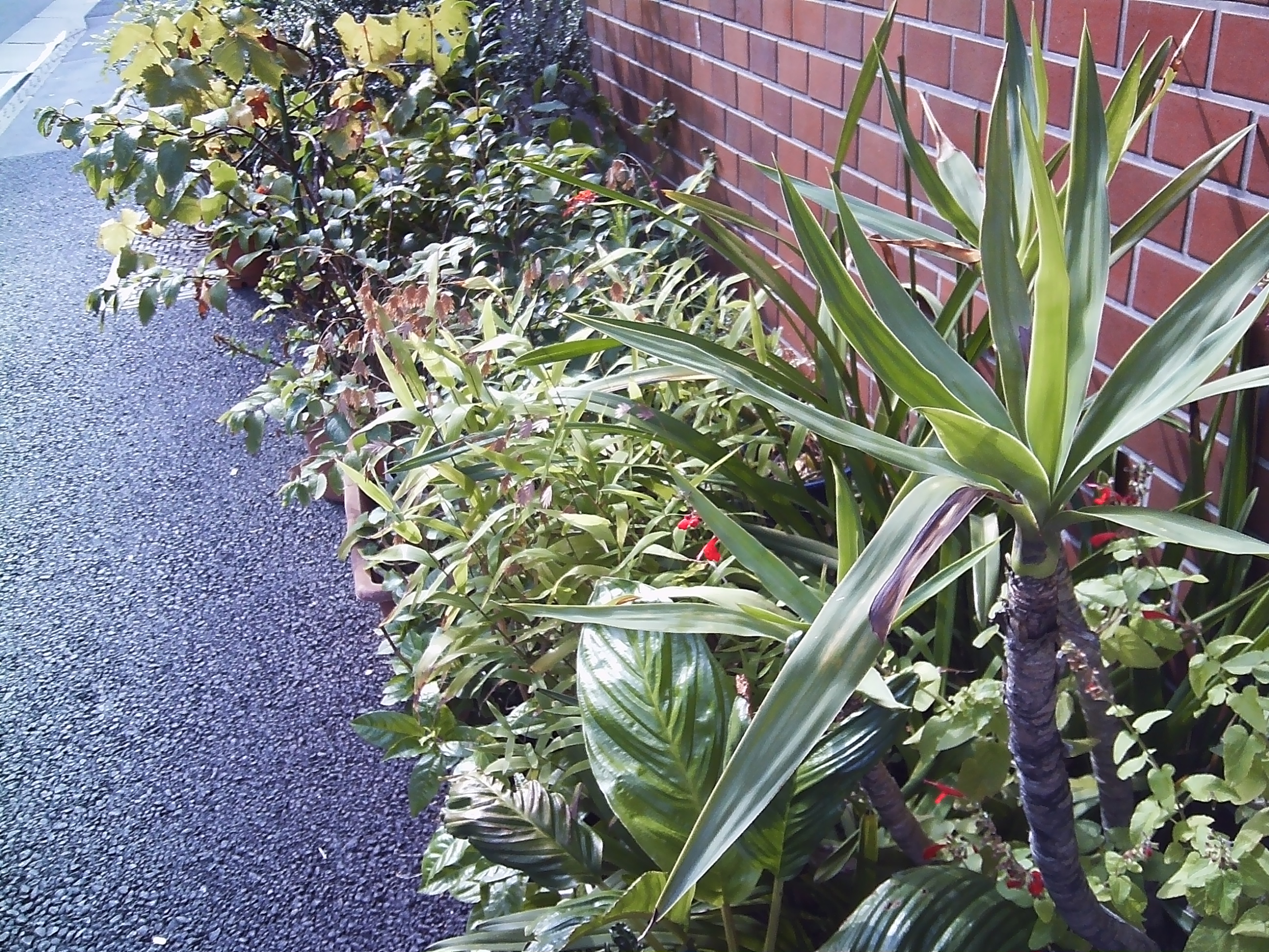 1/32秒 / F2.8 / ISO100 / オート / 5mm / クラシック