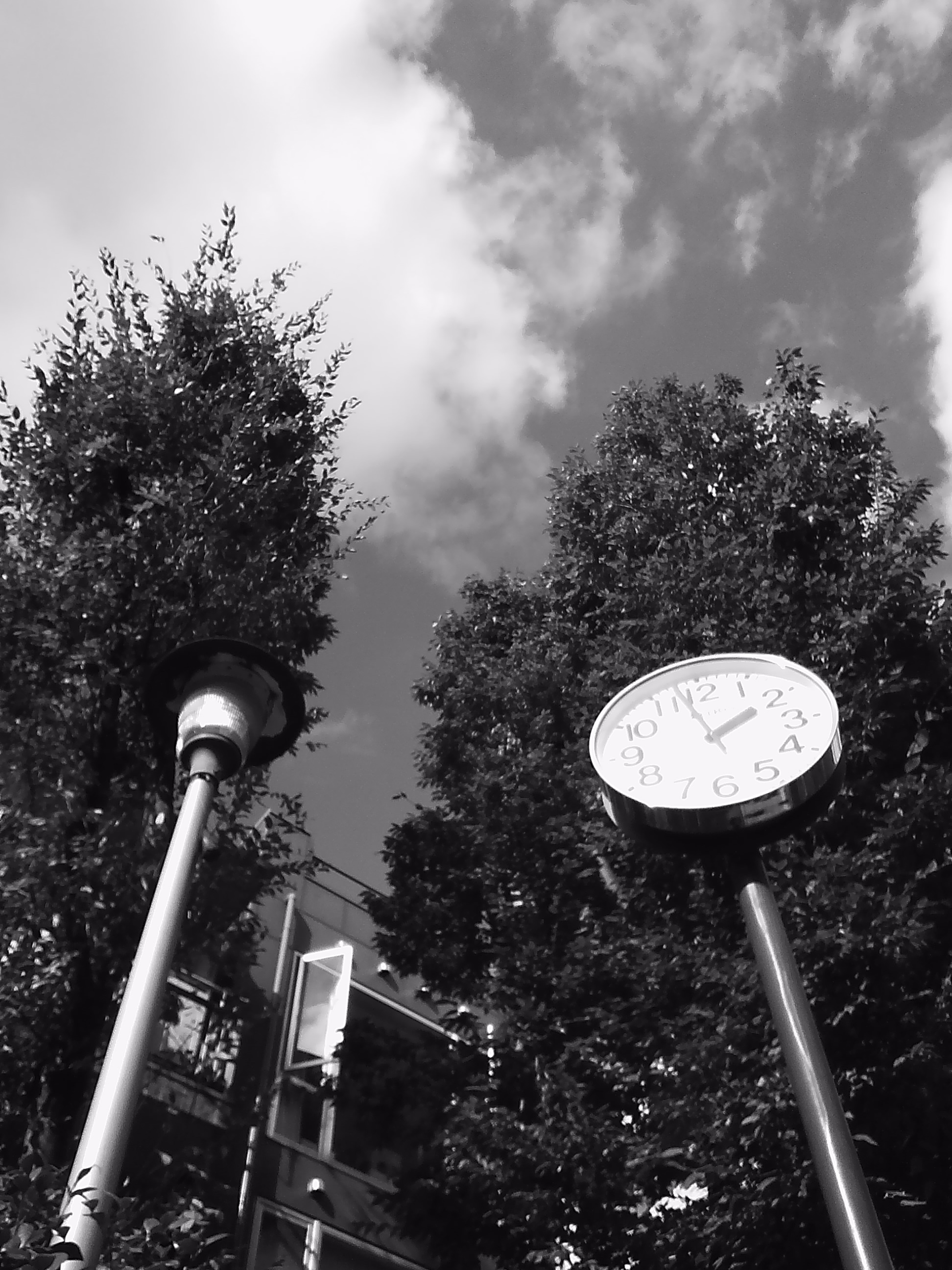 1/32秒 / F2.8 / ISO100 / オート / 5mm / ブラック&amp;ホワイト