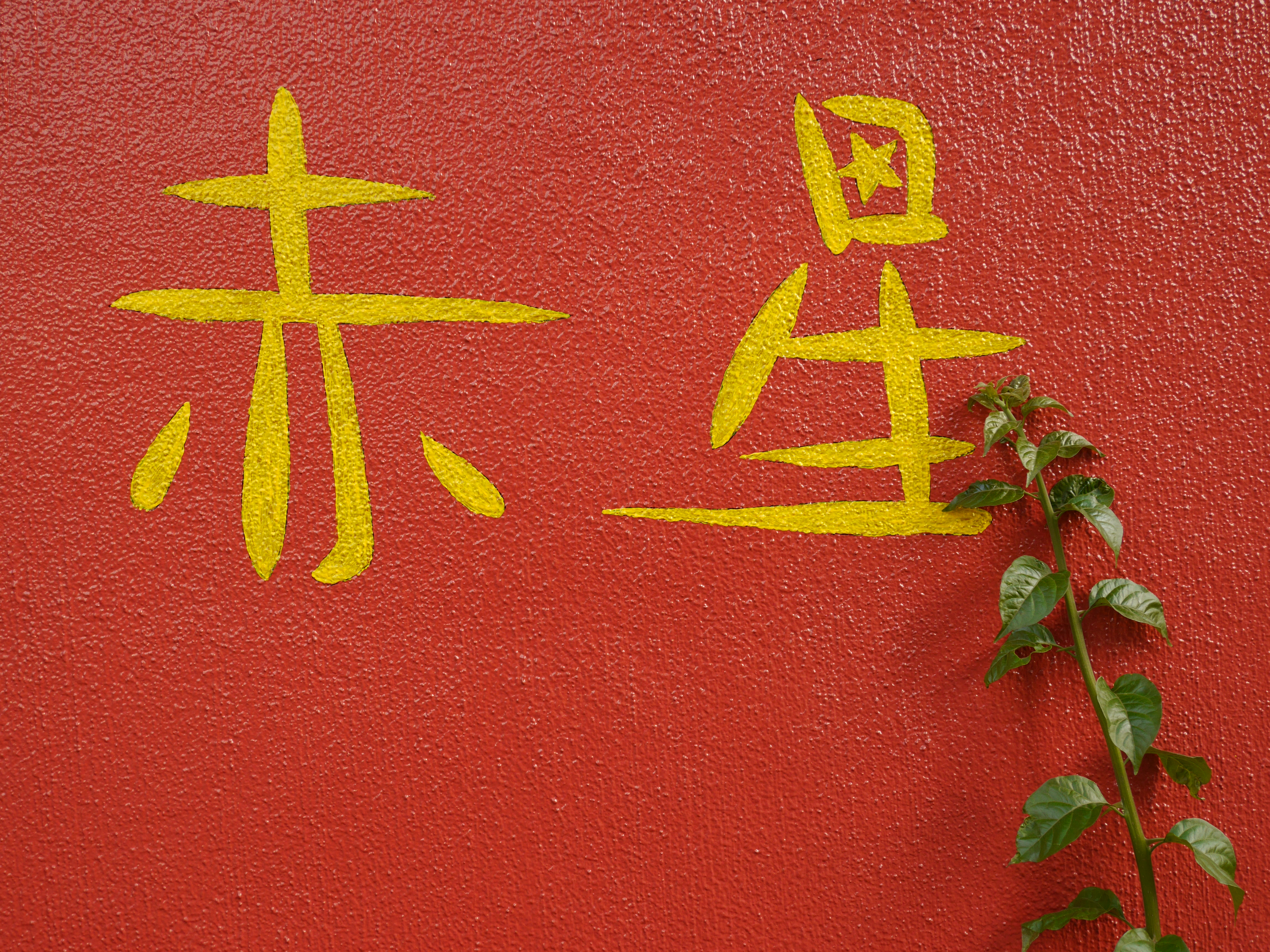 ISO200 / F6.3 / 1/60秒 / -0.3EV /  20mm