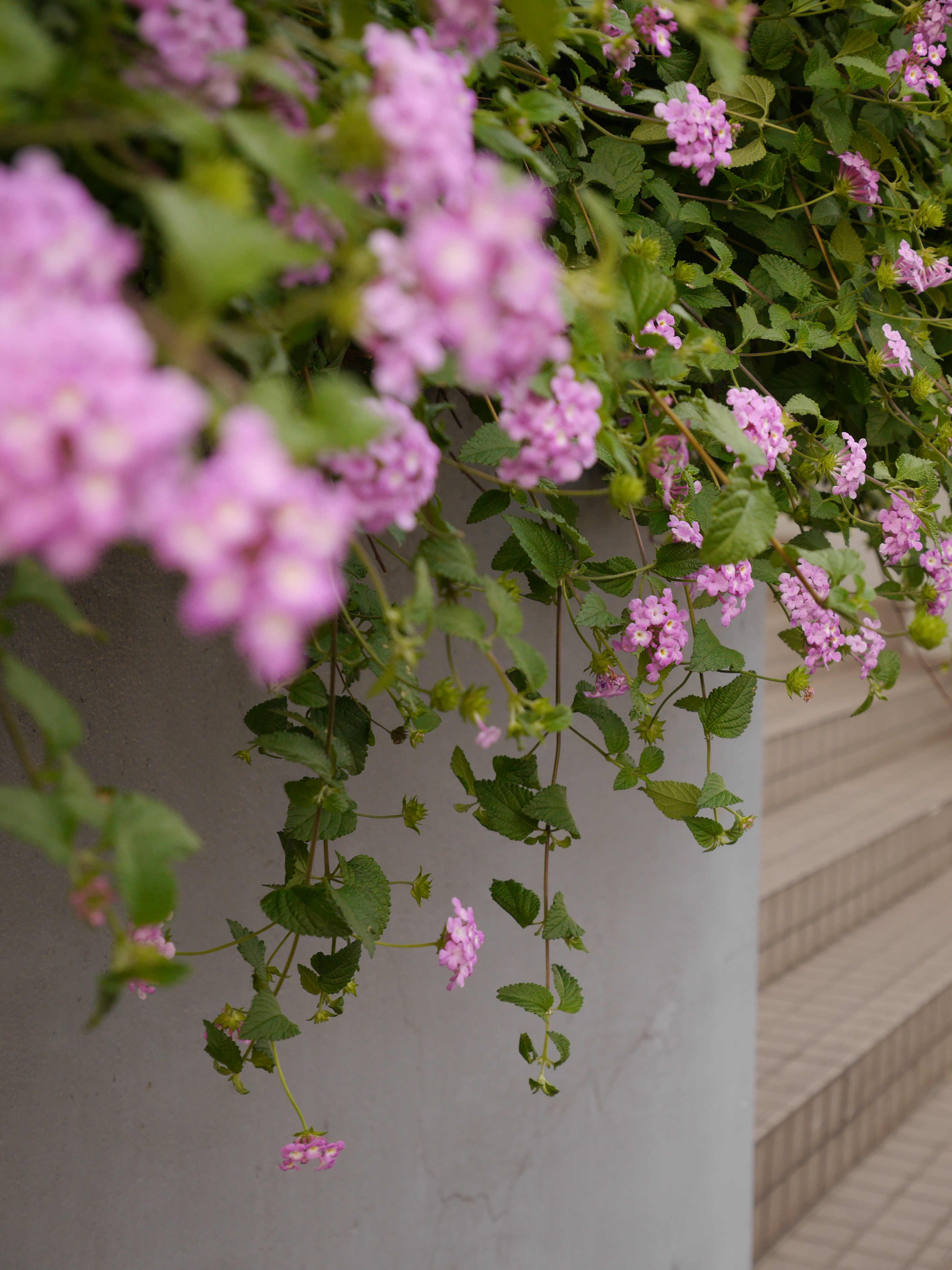 ISO400 / F5.6 / 1/40秒 / -0.3EV /  32mm