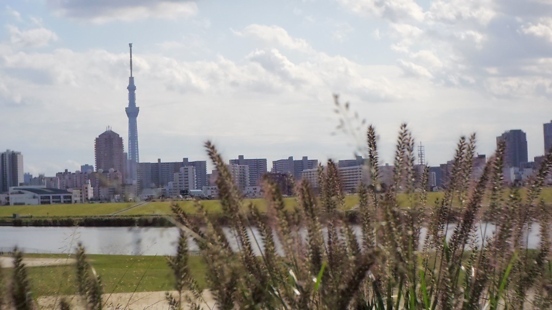 Bellami HD-1 / Switar 13mm F0.9 / 1,920×1,080 / 1/10,000秒 / 絞り開放近辺 / 0EV / ISO160 / WB:オート / 13mm