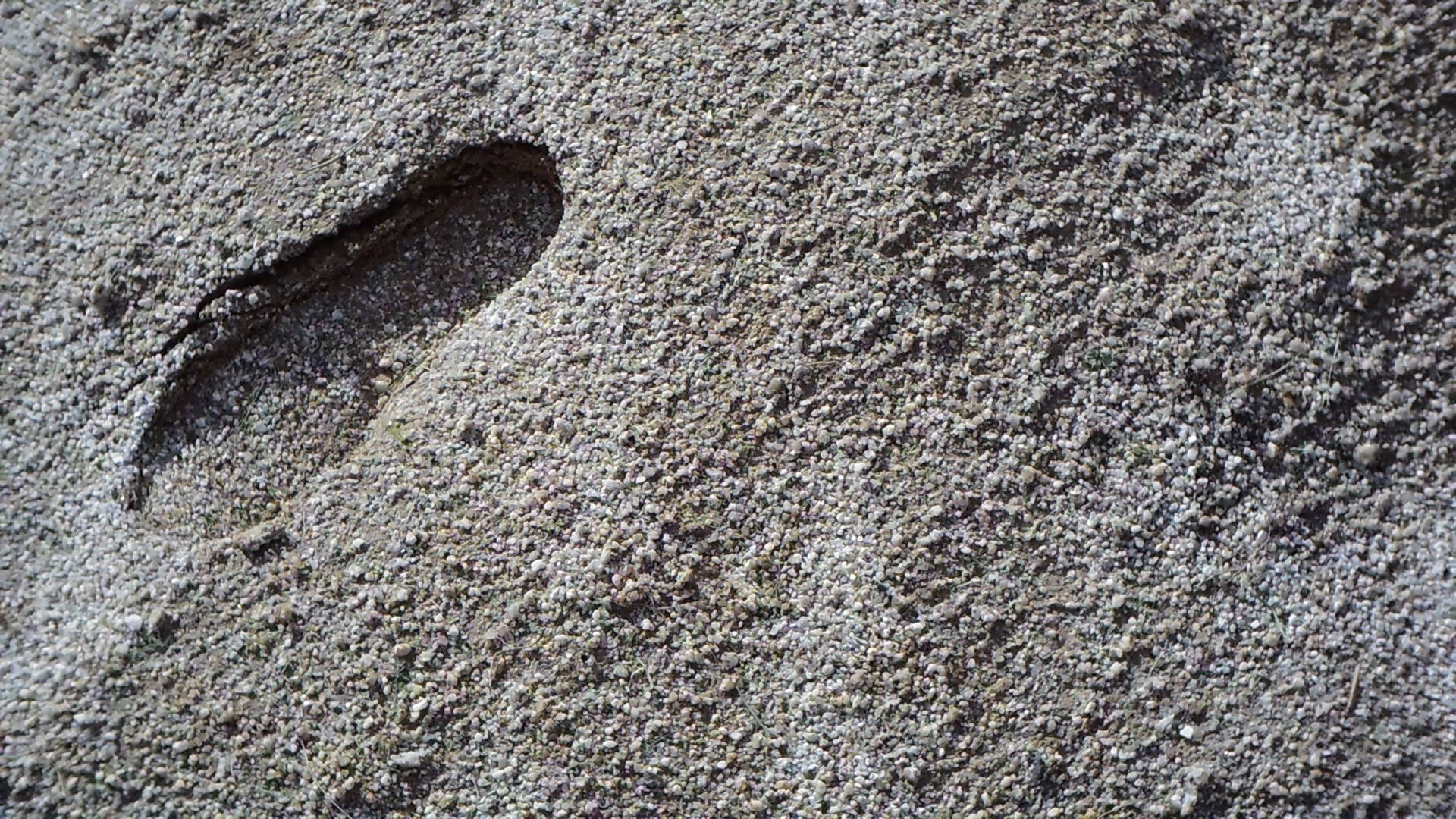 Bellami HD-1 / Switar 13mm F0.9 / 1,920×1,080 / 1/6,000秒 / 絞り開放近辺 / 0EV / ISO160 / WB:オート / 13mm