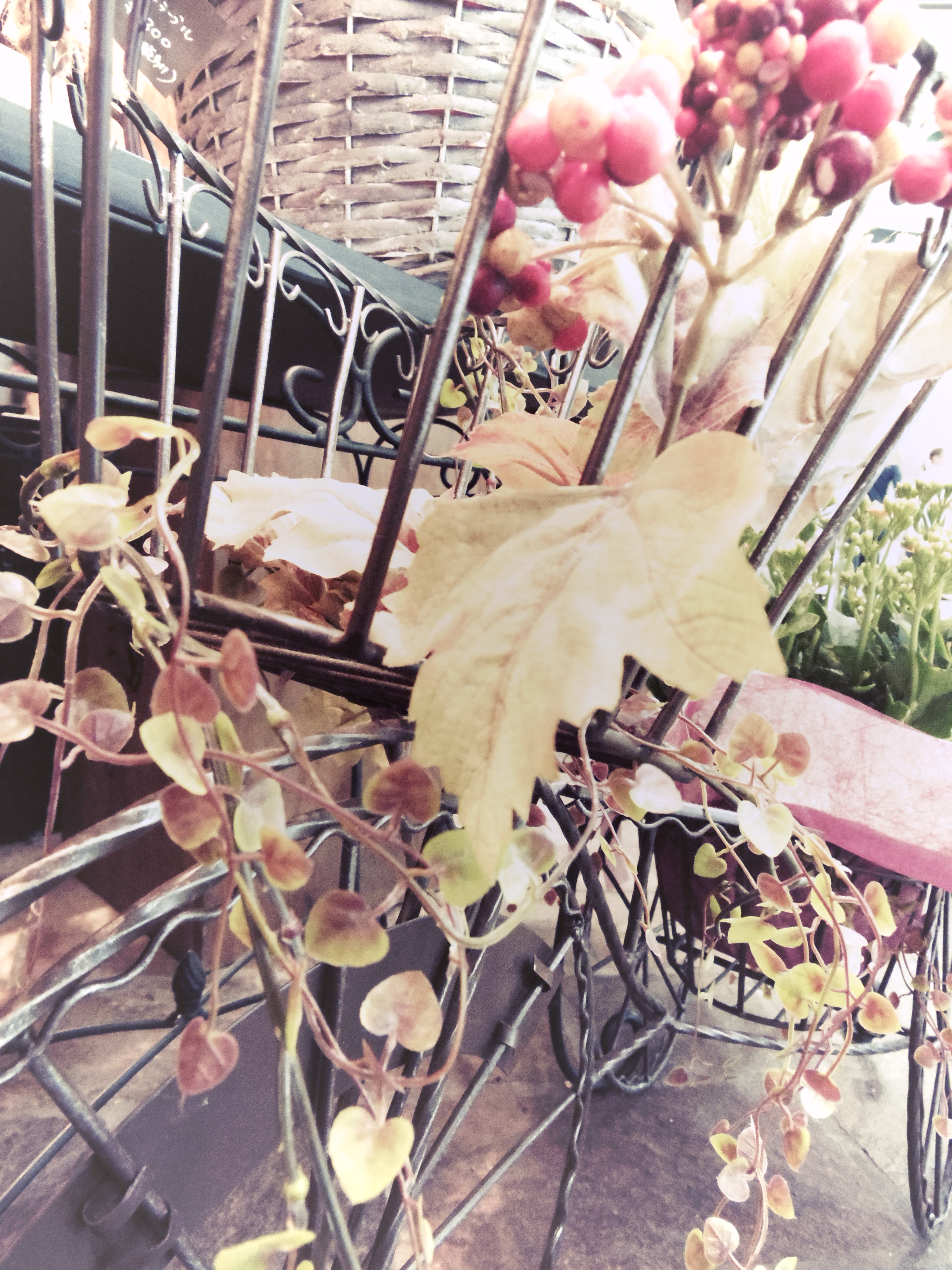 スマートエフェクト：アンティーク・パターン2。直射日光が当たってギトギトした色合いの被写体も「アンティーク」を使用すれば優しいムードに仕上がりました。ISO2500 / F4 / 1/40秒 / ±0EV / 5mm（23mm相当）