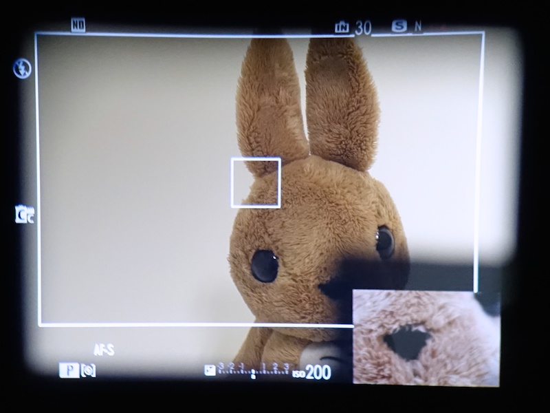 今回の目玉がこのERF。右下にフォーカス位置を拡大して表示する。OVFにデジタル画像を重ねるユニークな機能