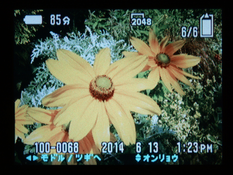 撮影画像の再生はダイヤル操作で行ない、画面上の表示はDSPL/LCD ON/OFFボタン切り換える。画像拡大はズームボタン（T/+）で行い、最大倍率は5倍。