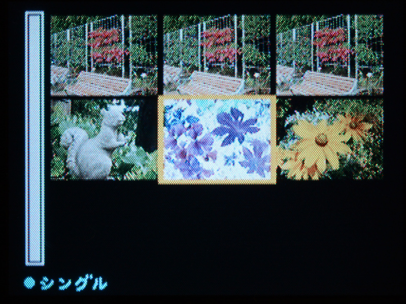 撮影画像の再生時にズームボタン（W/-）を押すと、インデックス（サムネイル）表示に切り換わる。で、さらにズームボタン（W/-）を押すと、選択画像の撮影情報を確認することができる。