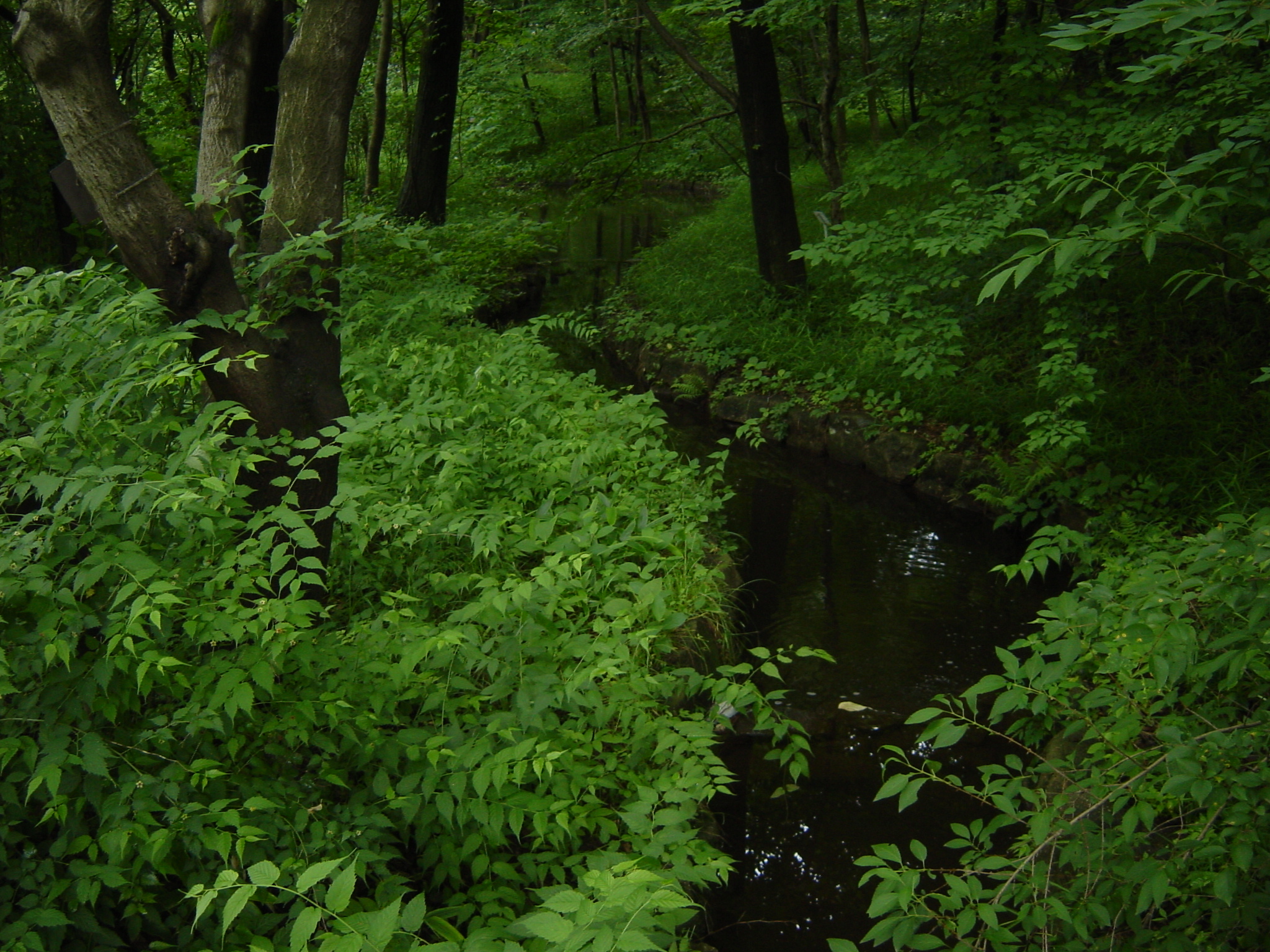 ISO100 / F2.8 / 1/30秒 / ±0EV / 8mm