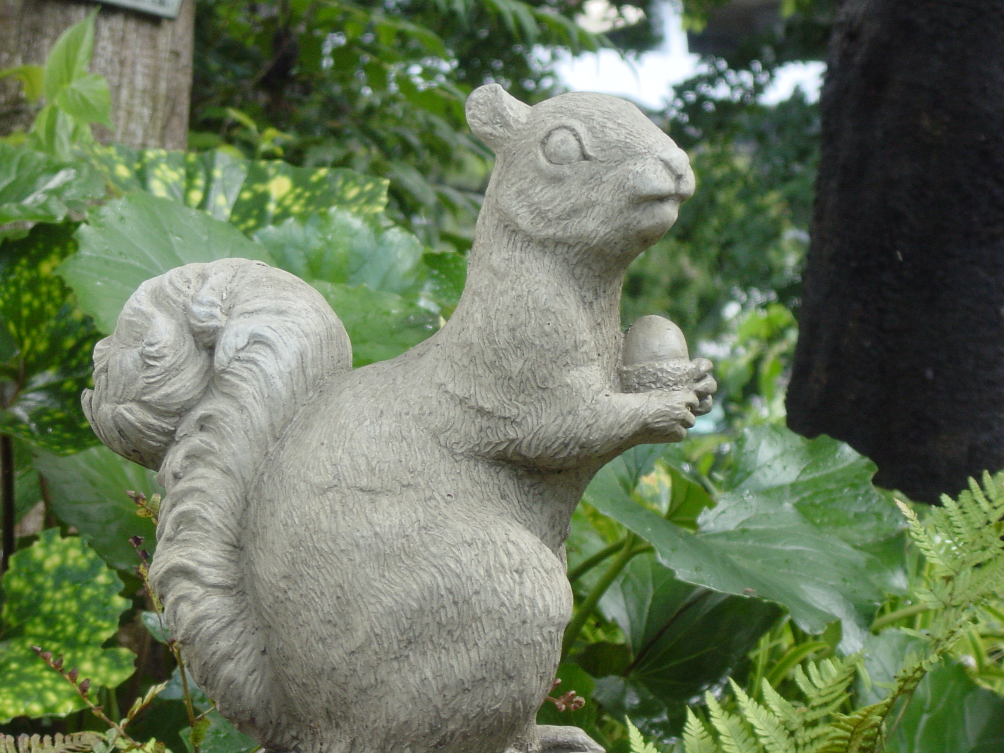 ISO160 / F5.6 / 1/80秒 / ±0EV / 24mm