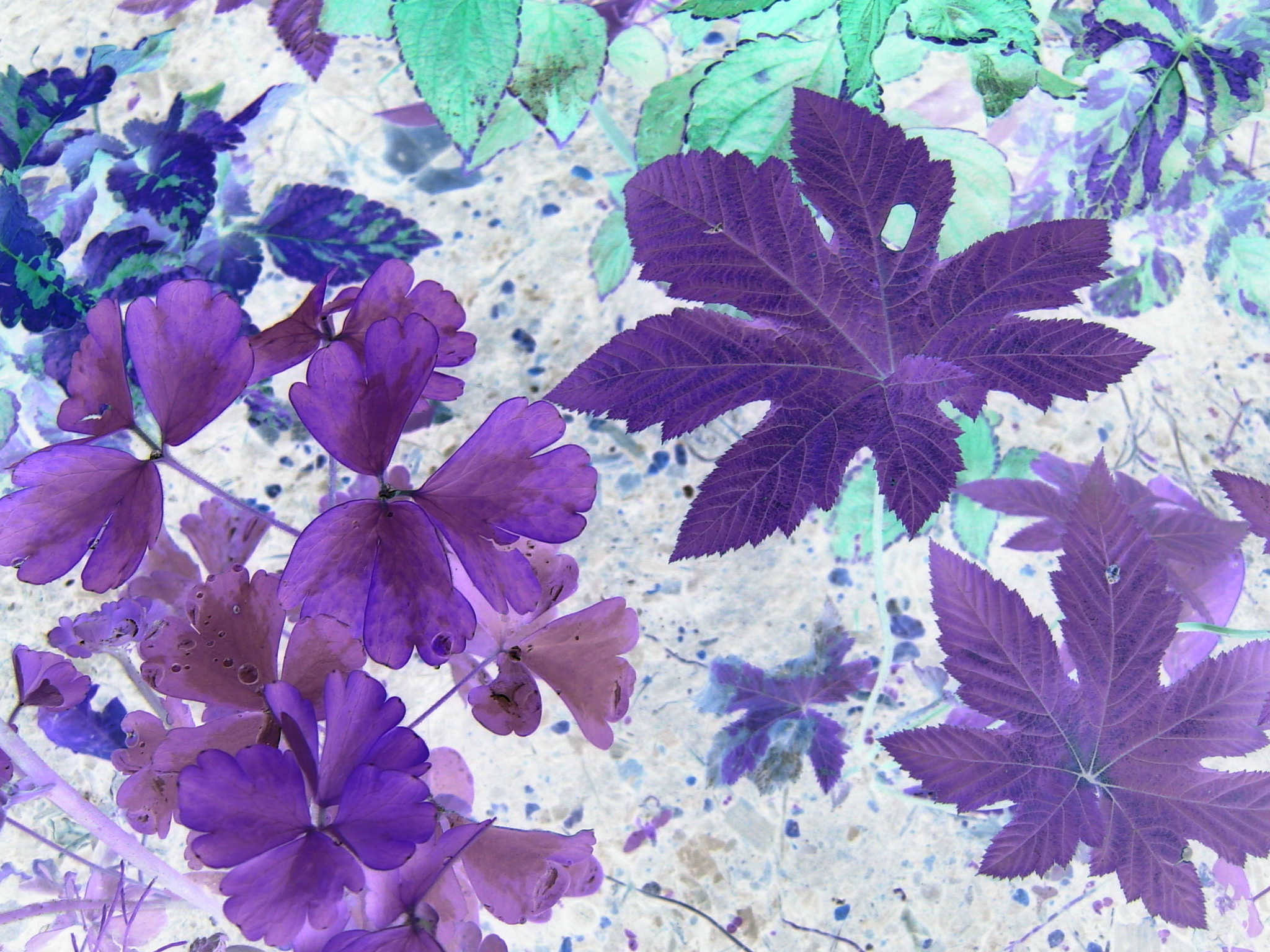 ISO100 / F2.8 / 1/200秒 / ±0EV / 8mm / PFX：ネガアート