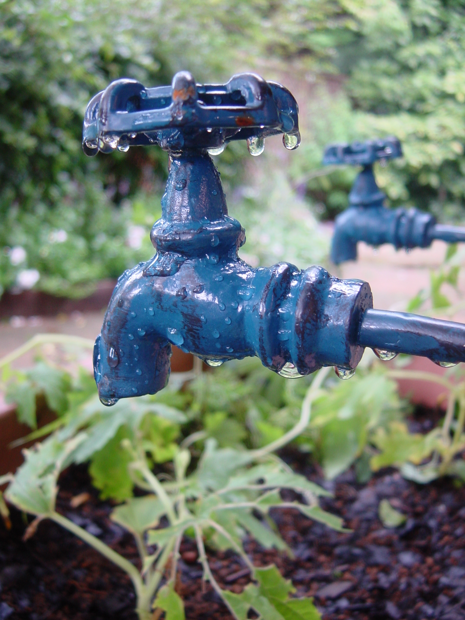 ISO100 / F2.8 / 1/40秒 / ±0EV / 8mm