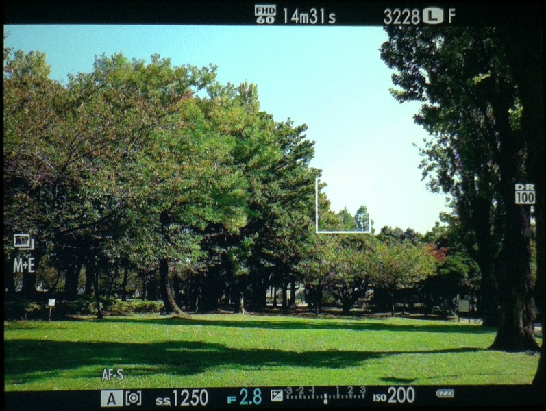 EVF（電子ビューファインダー）は明るさや彩度の調整に対応。フィルムシミュレーションを反映しないナチュラルライブビューも可能だ