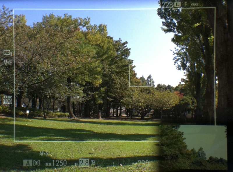 ERF（電子レンジファインダー）は、右下にEVFの拡大表示をオーバーレイ表示する