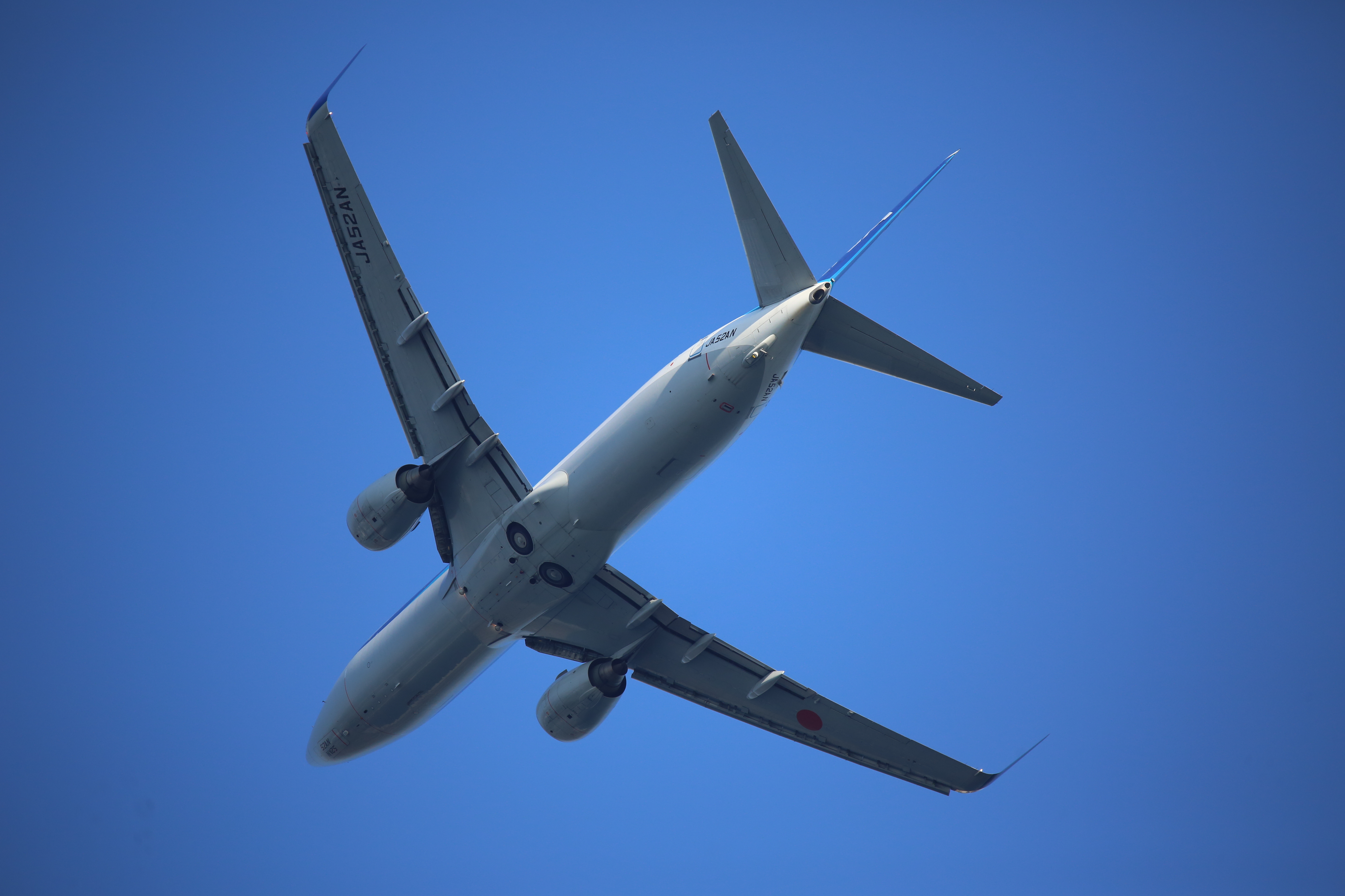 EOS 5D Mark III / 1/1,600秒 / F6.3 / 0EV / ISO640 / シャッター優先AE / 600mm