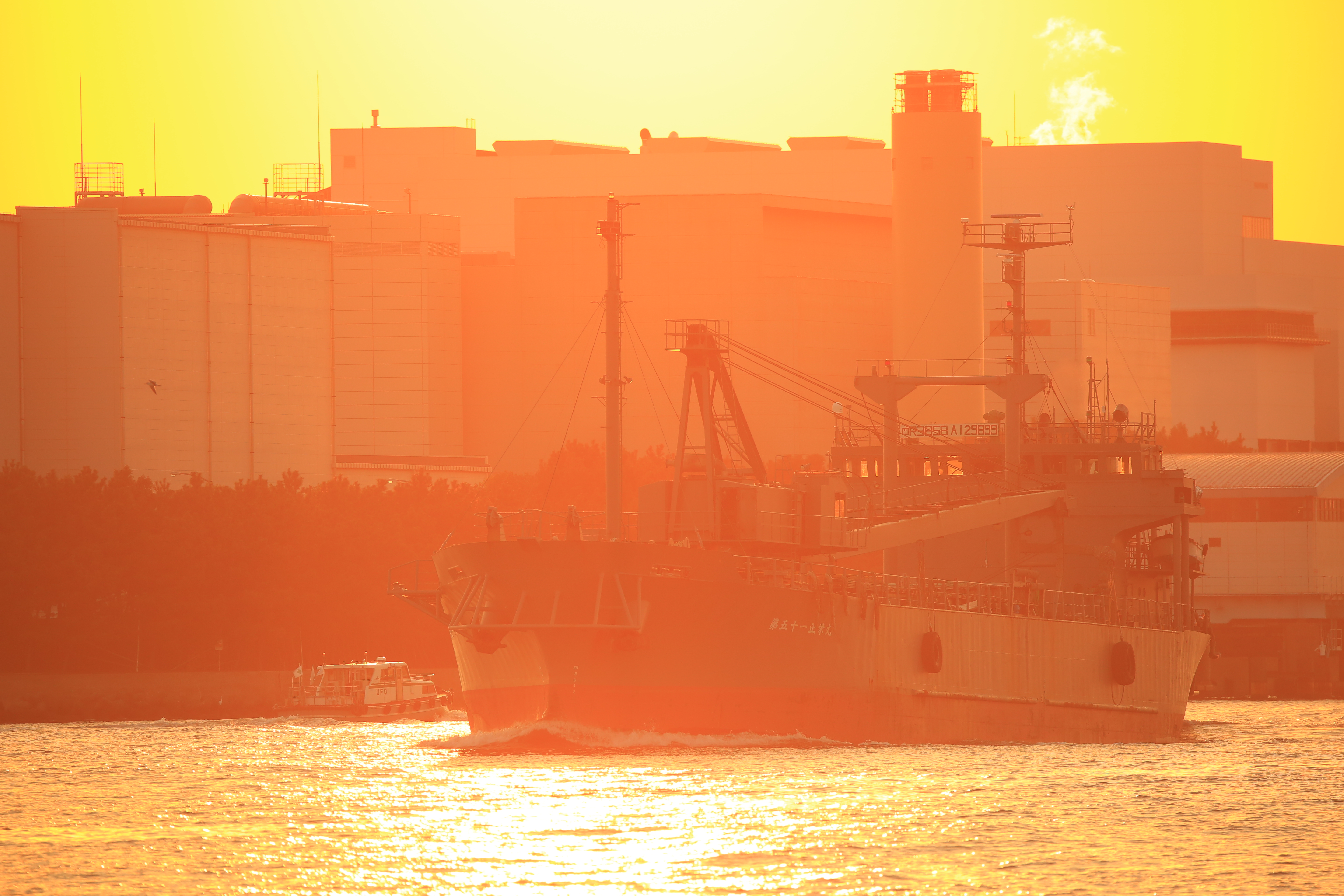 EOS 5D Mark III / 1/640秒 / F7 / +0.7EV / ISO640 / シャッター優先AE / 440mm