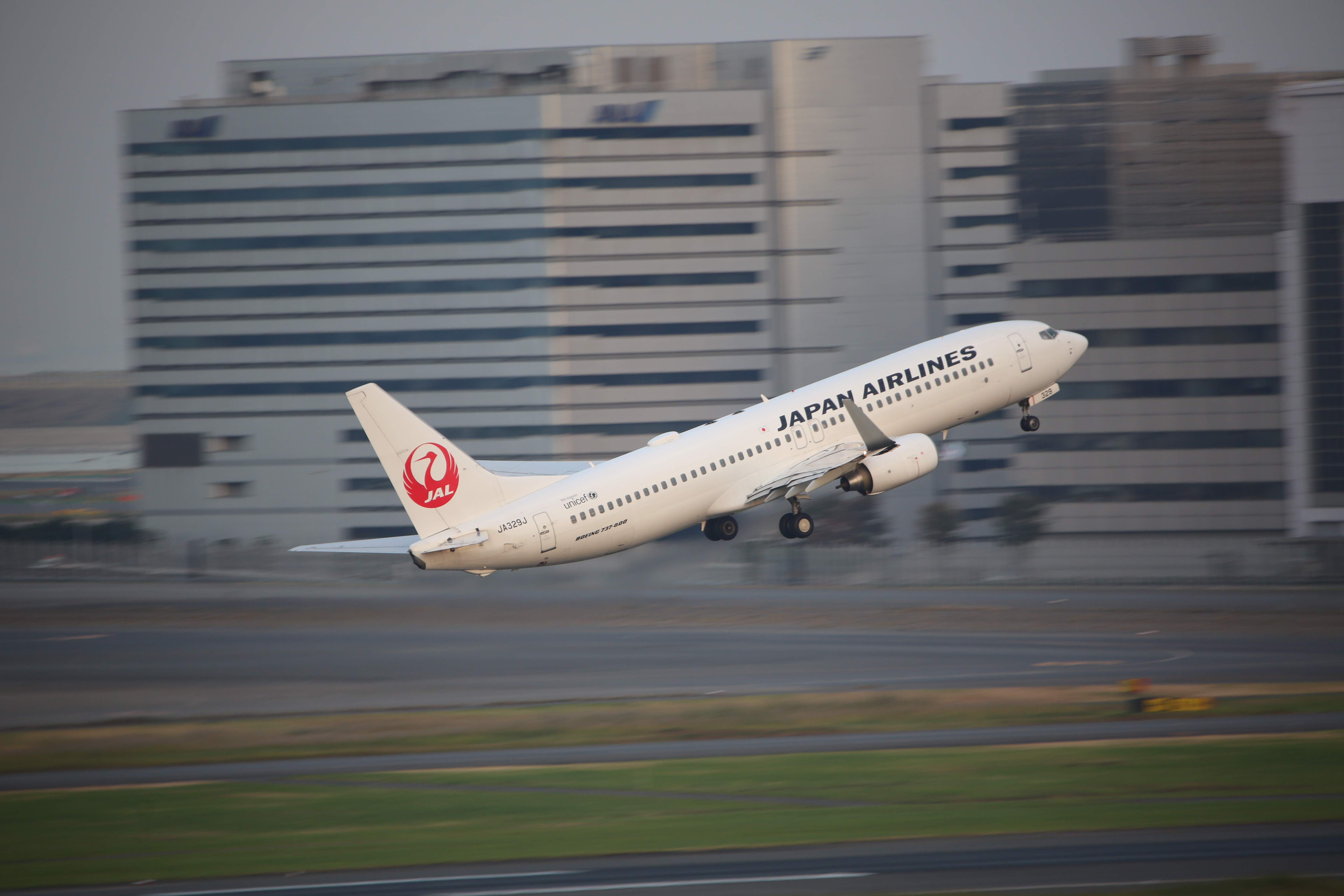 EOS 5D Mark III / 1/80秒 / F6.3 / 0EV / ISO400 / シャッター優先AE / 600mm