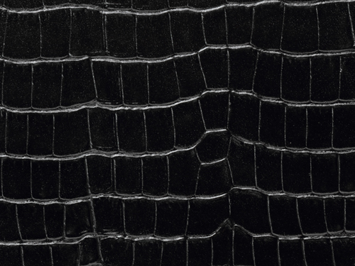 クロコダイル ブラック タイプ8010