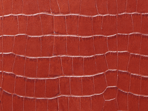 クロコダイル ブラウン タイプ8030