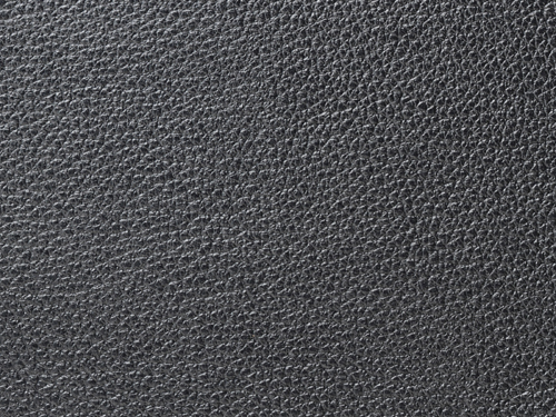 キヤノン EOS-1 タイプダークブルー4040DB