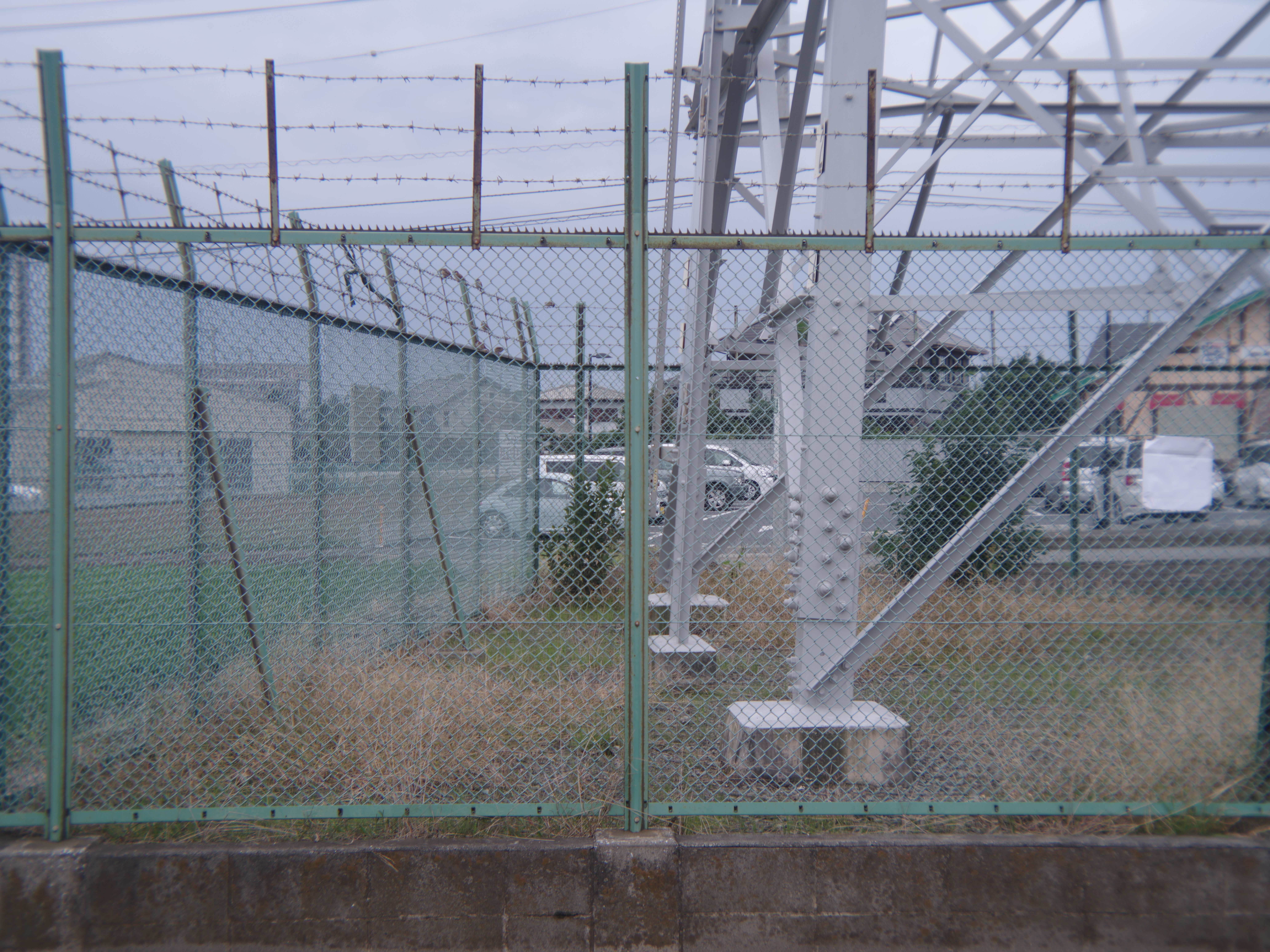 FUJIPET LENS / F16 / 1/30秒 / ISO200