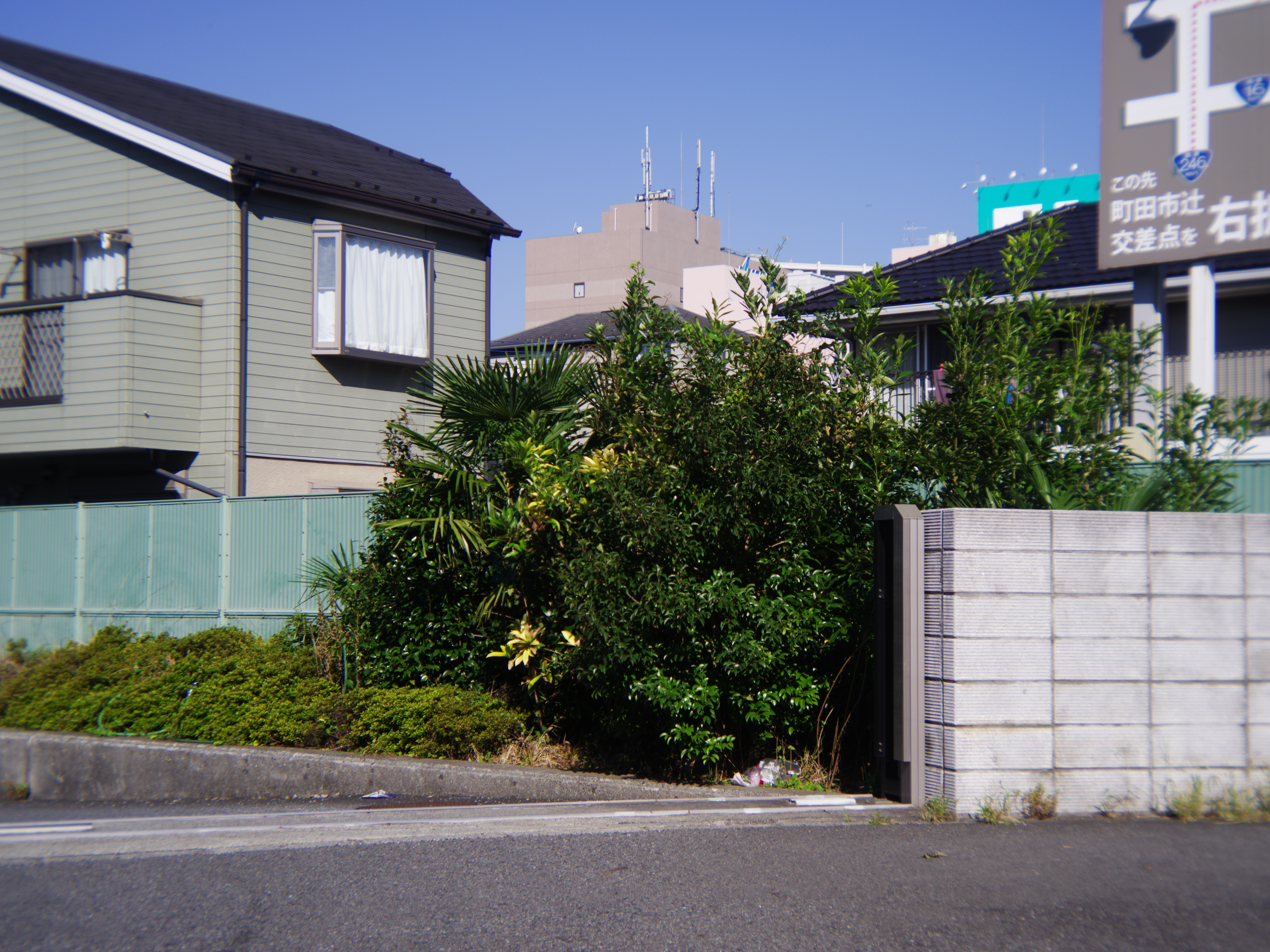 FUJIPET LENS / F16 / 1/160秒 / ISO200