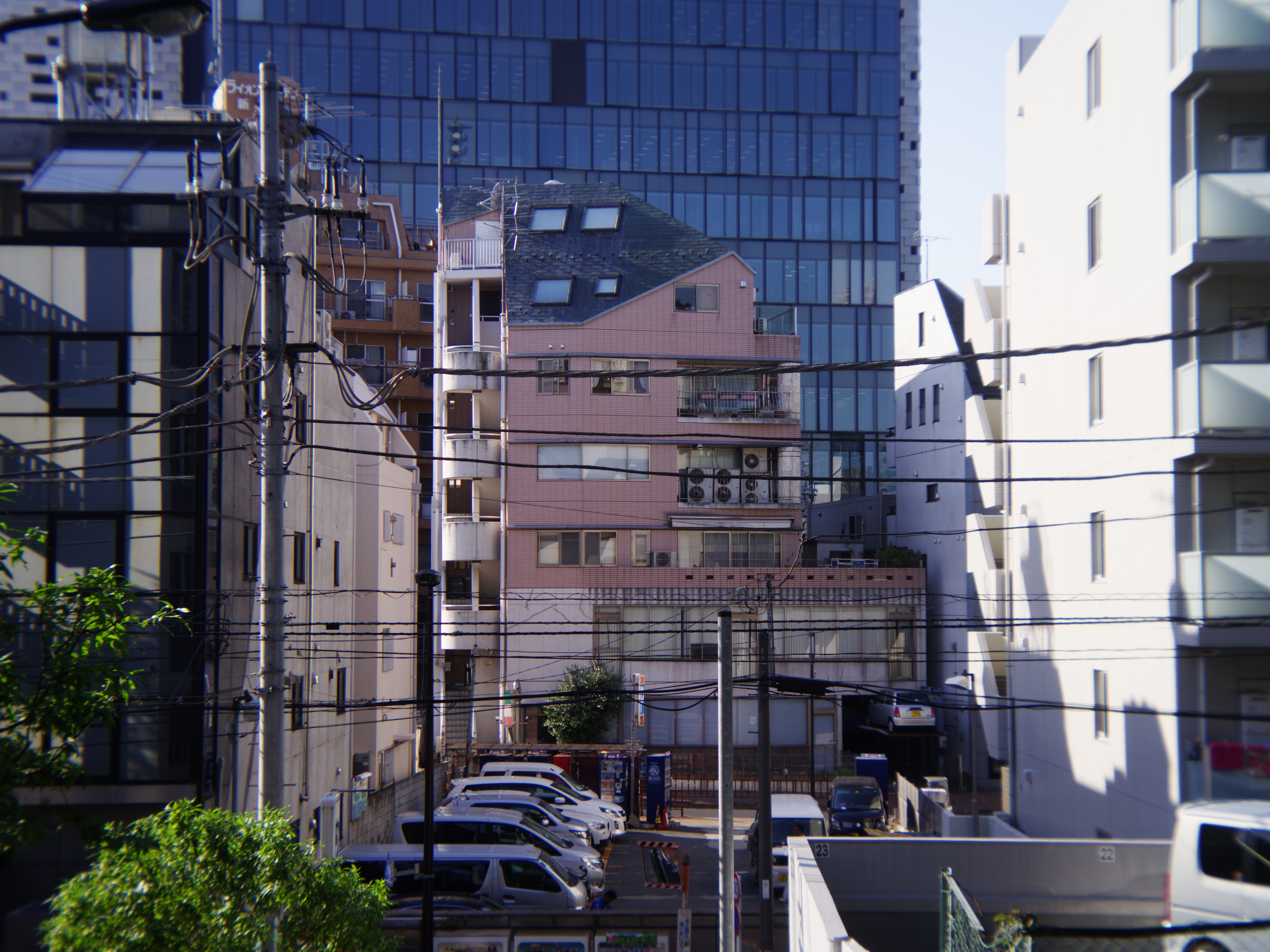 FUJIPET LENS / F16 / 1/125秒 / ISO400