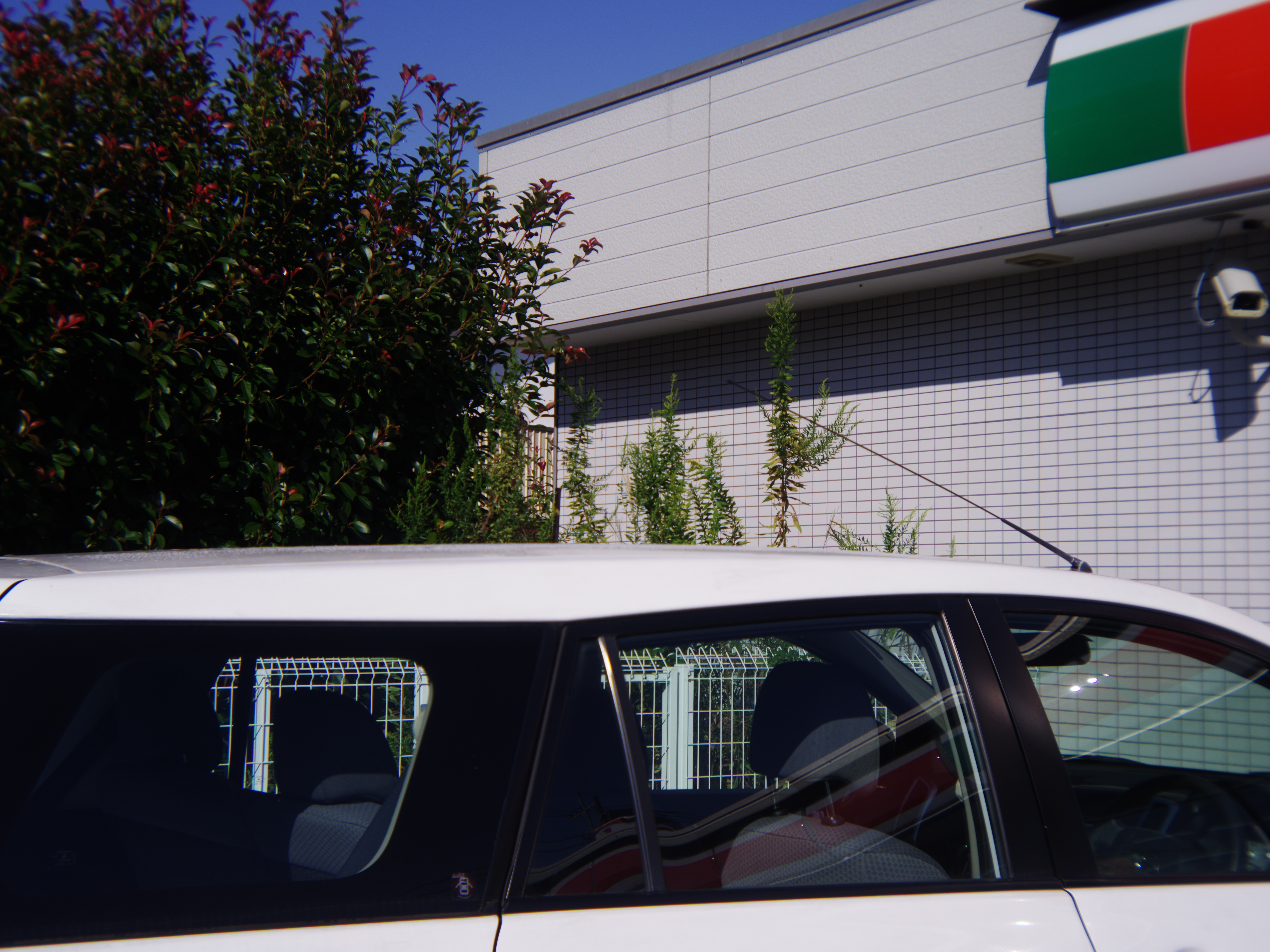 FUJIPET LENS / F16 / 1/200秒 / ISO200