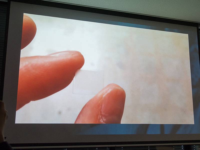 これがマイクロレンズアレイ