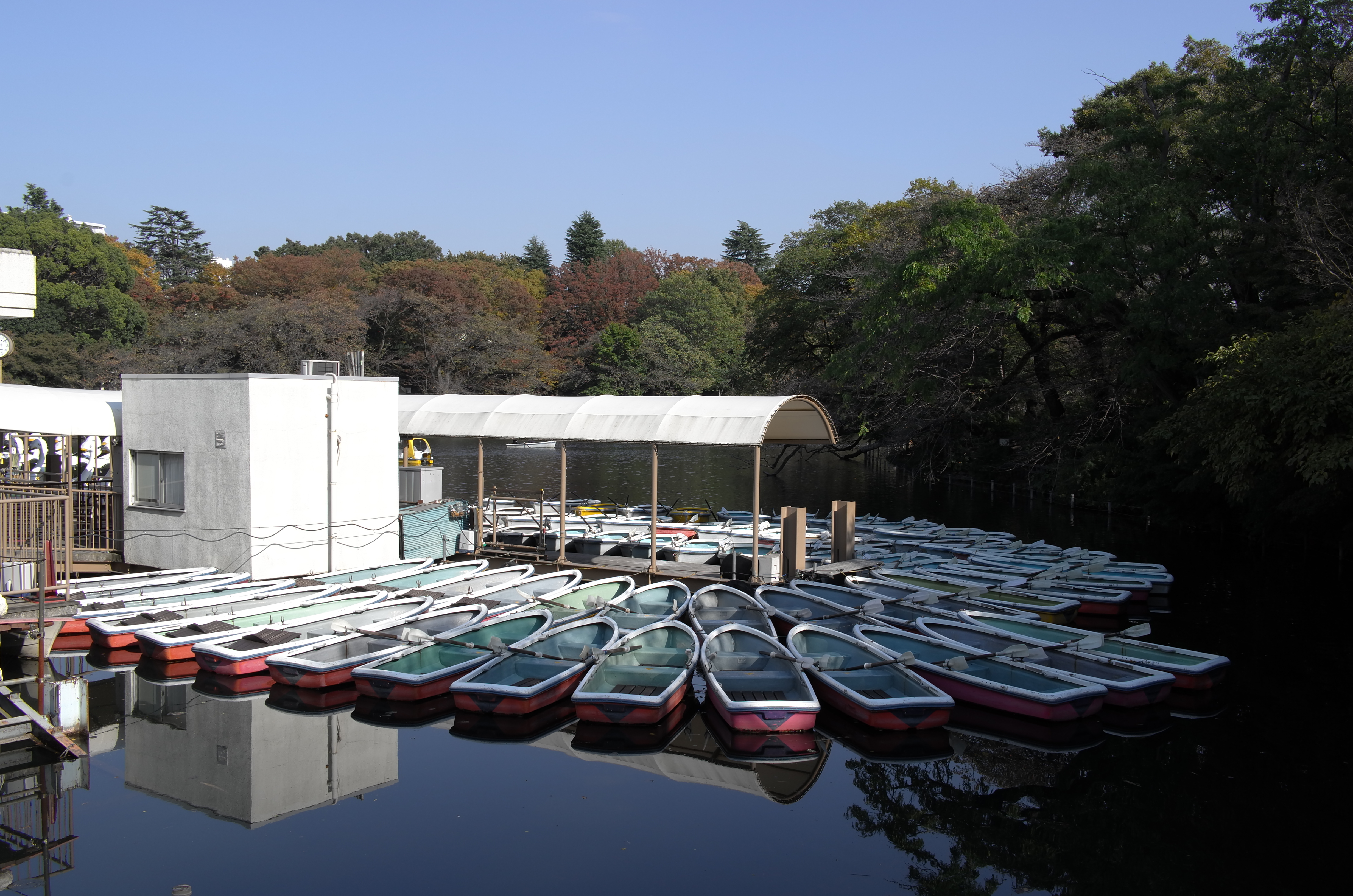 SUMMICRON-T f2/23mm ASPH.