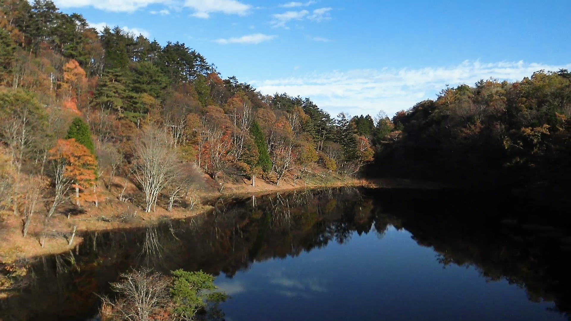 森の湖の真ん中で撮影した。水に映る空が深く静かで心地いい。
