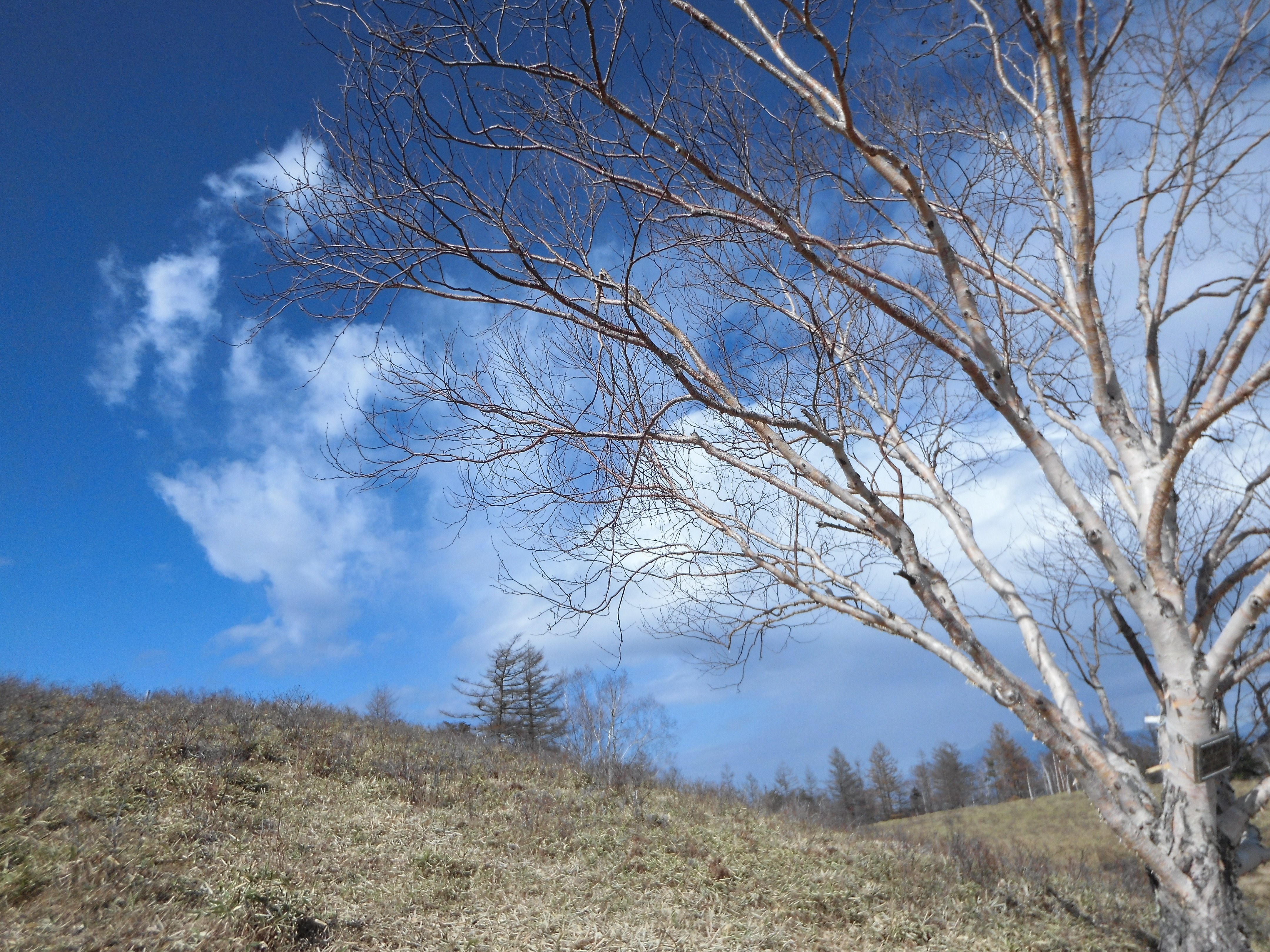 山頂へ向かう道でのながら撮り。カメラはショルダーベルトにつけたまま。