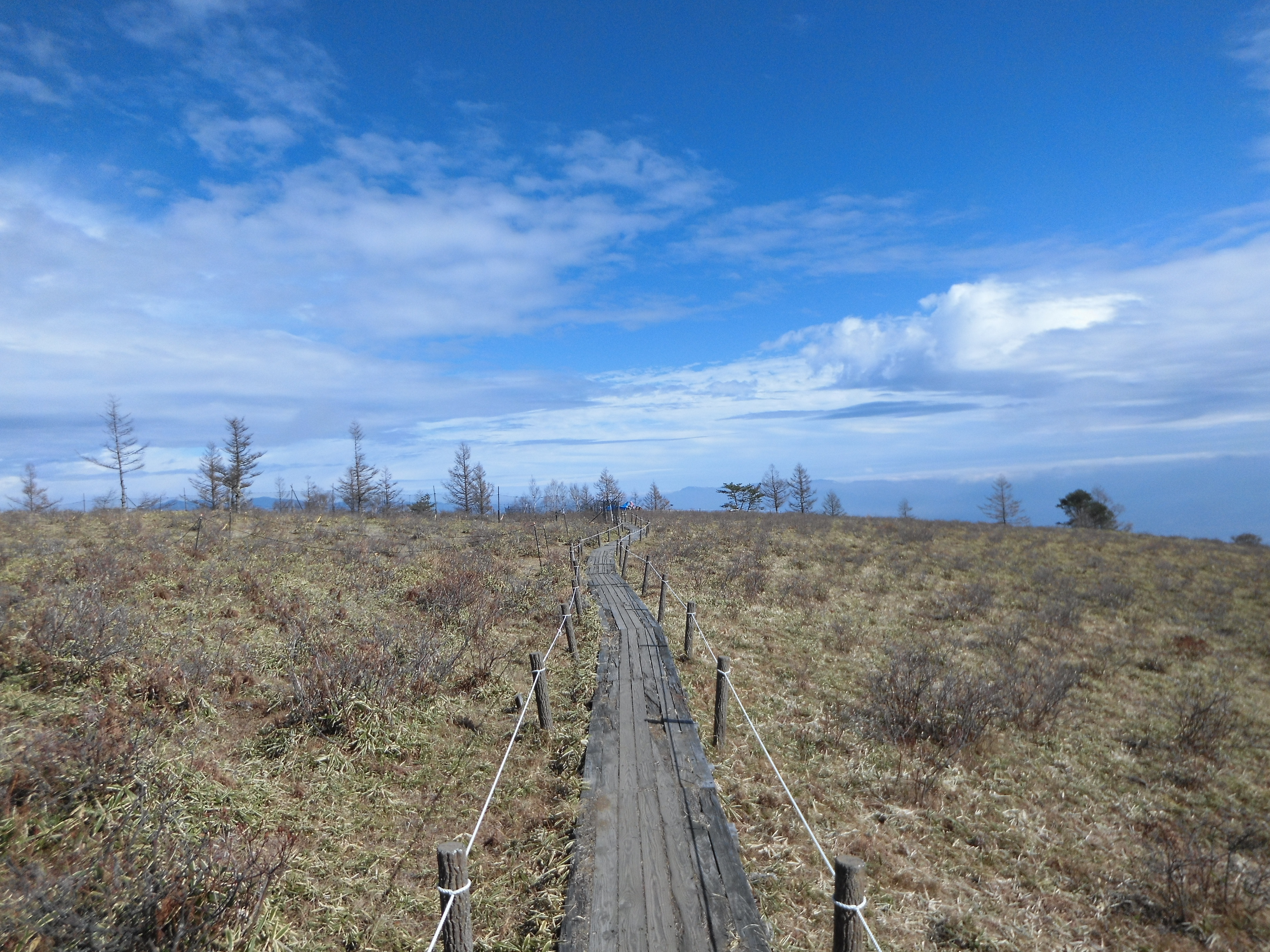 登って来た道を振り返る。急な坂道を登っていても気軽に写真を撮って見る気になった。