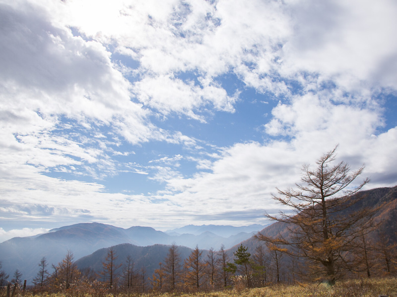 当日は南東の遠くに台風があり、曇り時々晴れ。雲の流れから上空の風は早いが、地表では弱く最大風速3.5m/秒で、突風などは吹かない状況。地表付近でのフライトであれば、問題なく行えると判断した