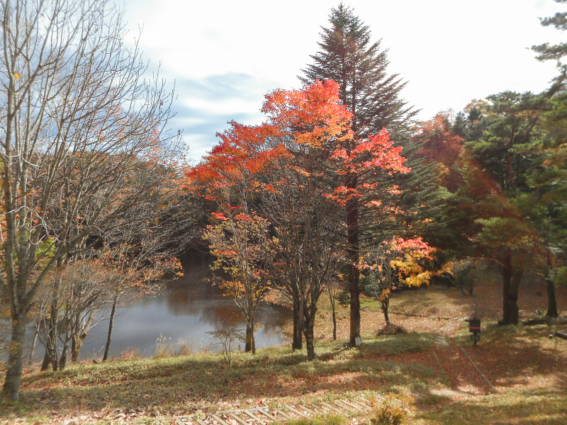 湖畔はキャンプ場になっているので、管理者に許可を得て撮影を行った。許可を貰える場所の方が、安心して撮影できて良い。秋、冬のキャンプ場は許可を得られる可能性が高く、おすすめだ