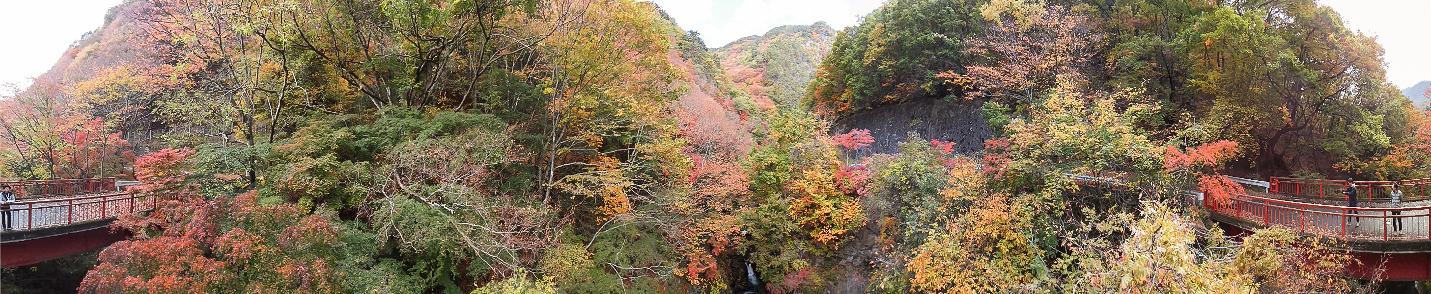 360度パノラマを平面で見ると橋が2本あるようで不思議だ。実際は両側に写っている橋は1つでその上に我々がいる。次回はQuickTime VR（全天パノラマ）に挑戦してみたい