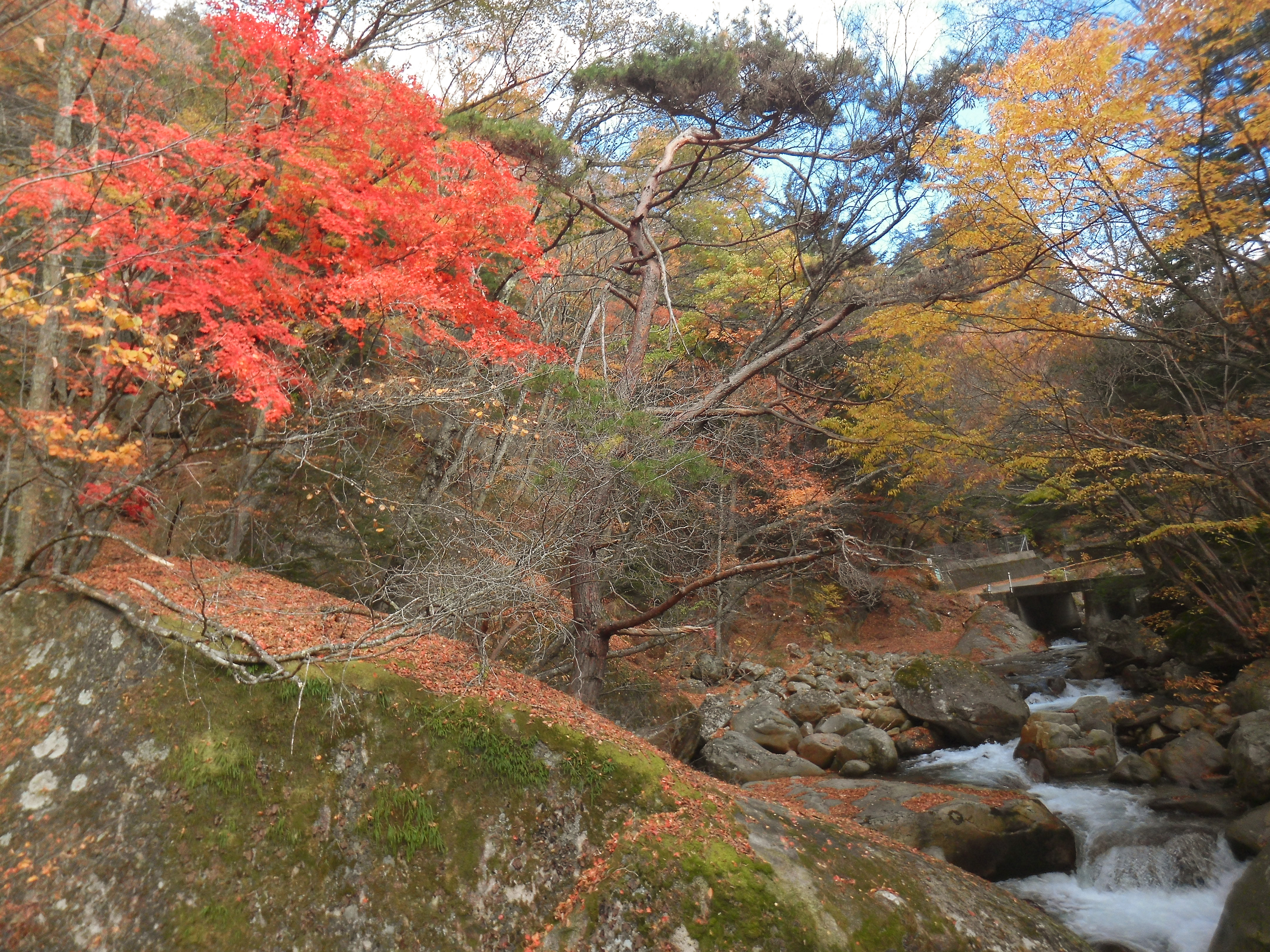 一脚をぐっと渓流に突き出して、渓流の上から撮影。深山の雰囲気と渓流の速い流れをバランスよく、ダイナミックに捉えることができた