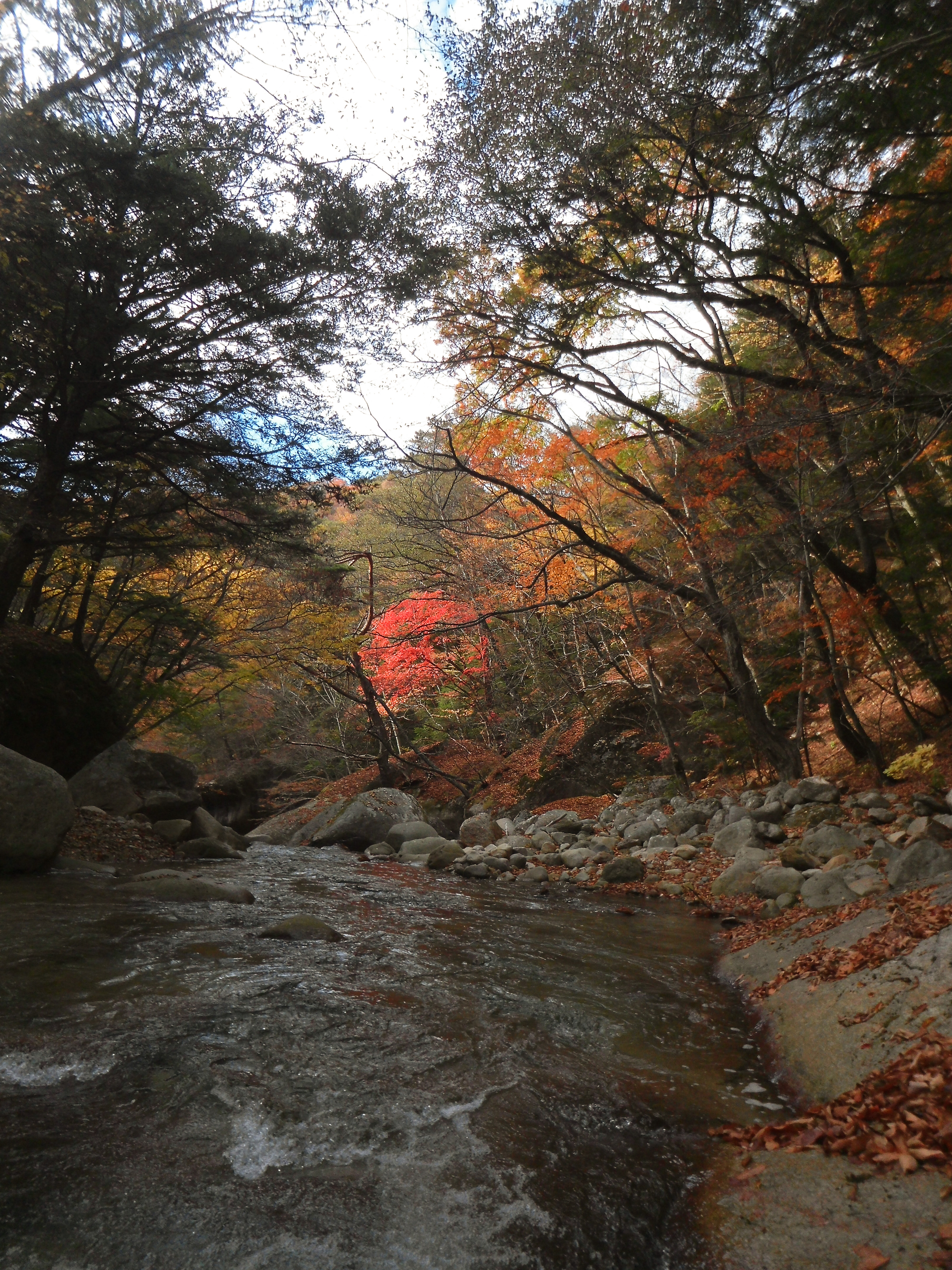 橋の上から普通に撮影。ここはみんなが撮る場所でポイントも決まっているので、あまり工夫のしようがない。レンズを変えて画角を変えるぐらいだ。それでも美しい景色であることに違いないが。